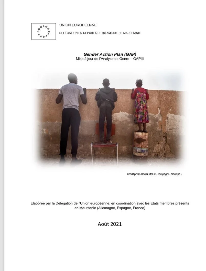 image-gender-action-plan-mauritanie-Union-Européenn-2021-aout