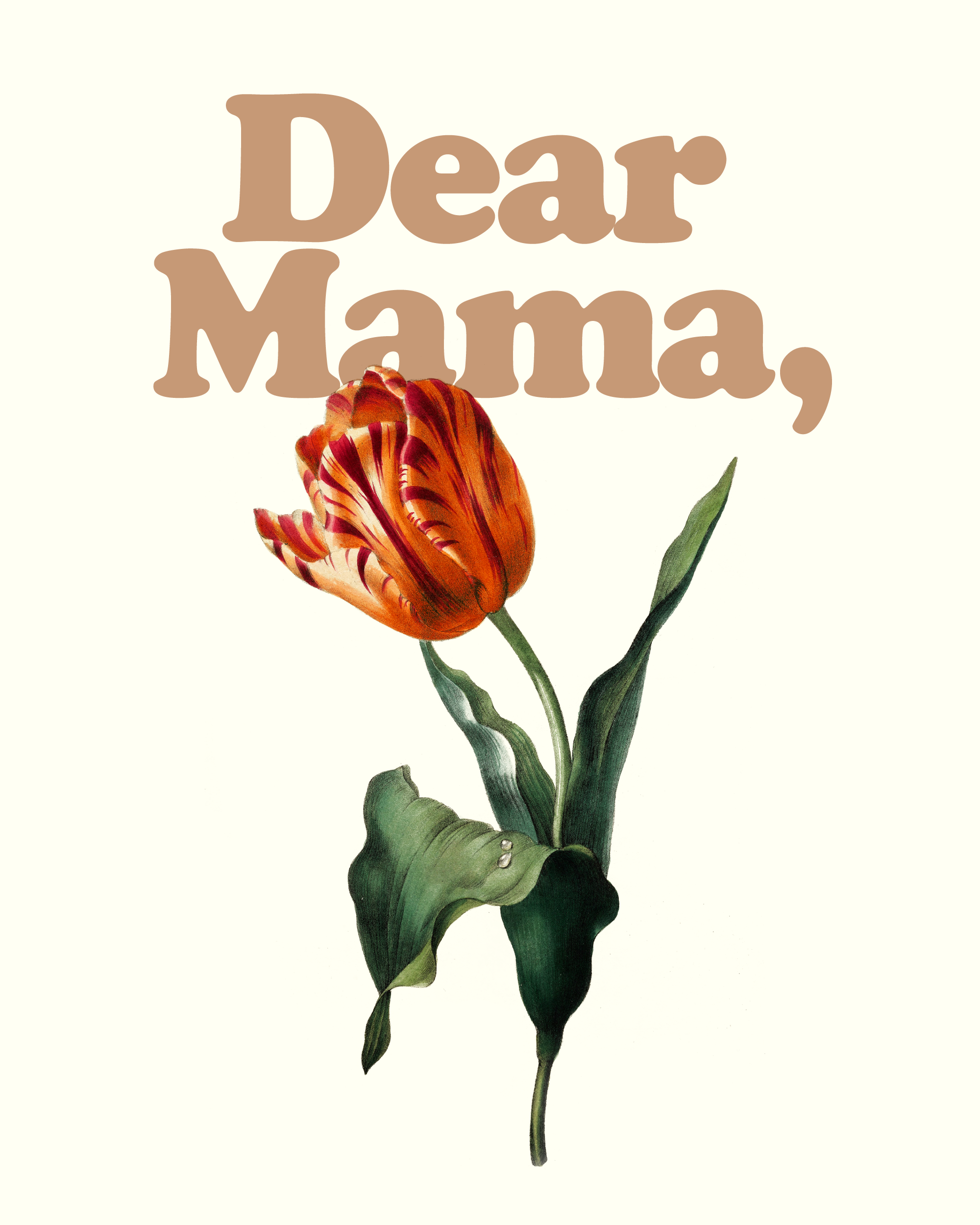Dear Mama Pop-Up | Western Cider