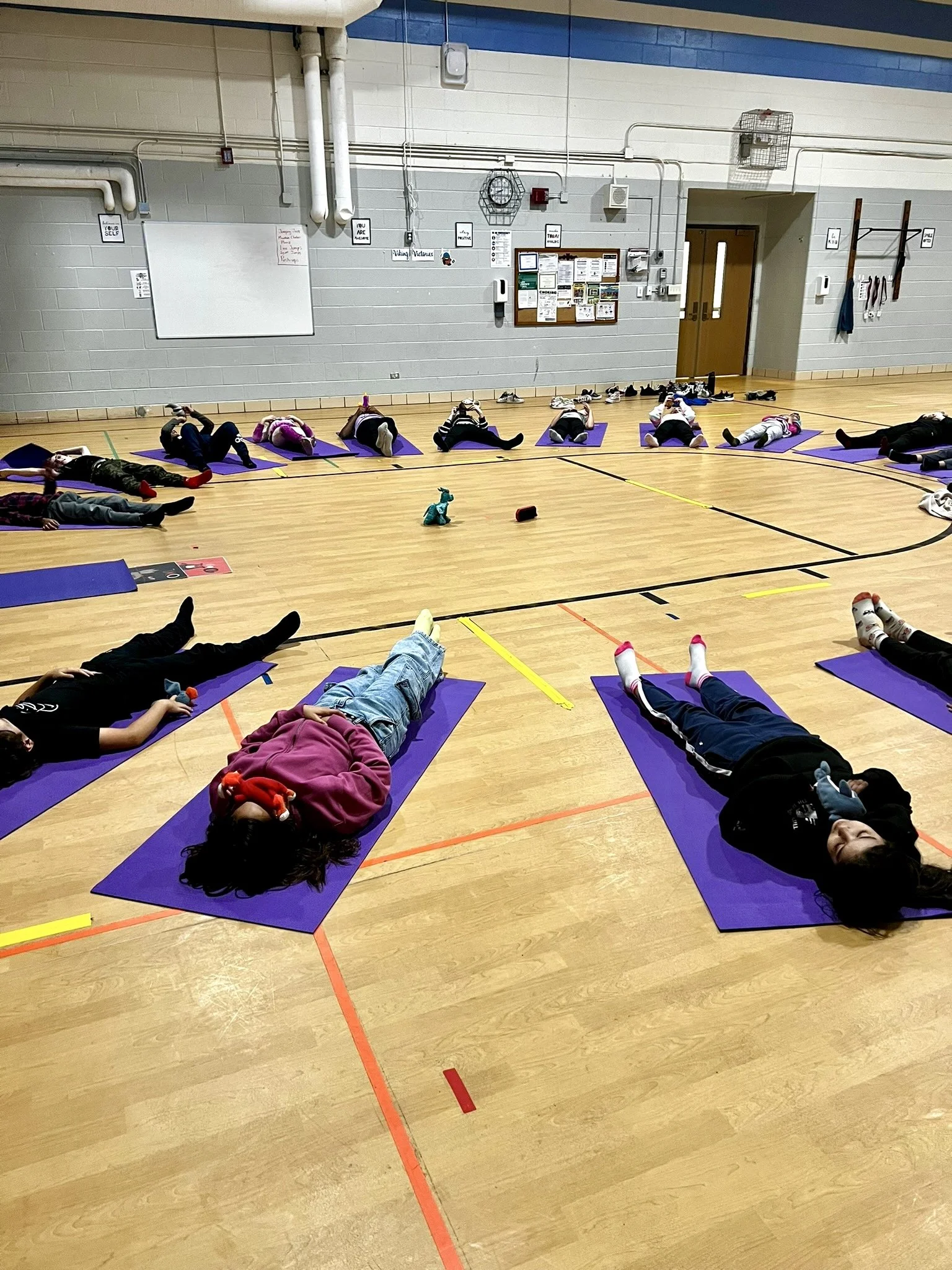 Why Schools Are Partnering with Starlight Studio to Support Student Wellness
