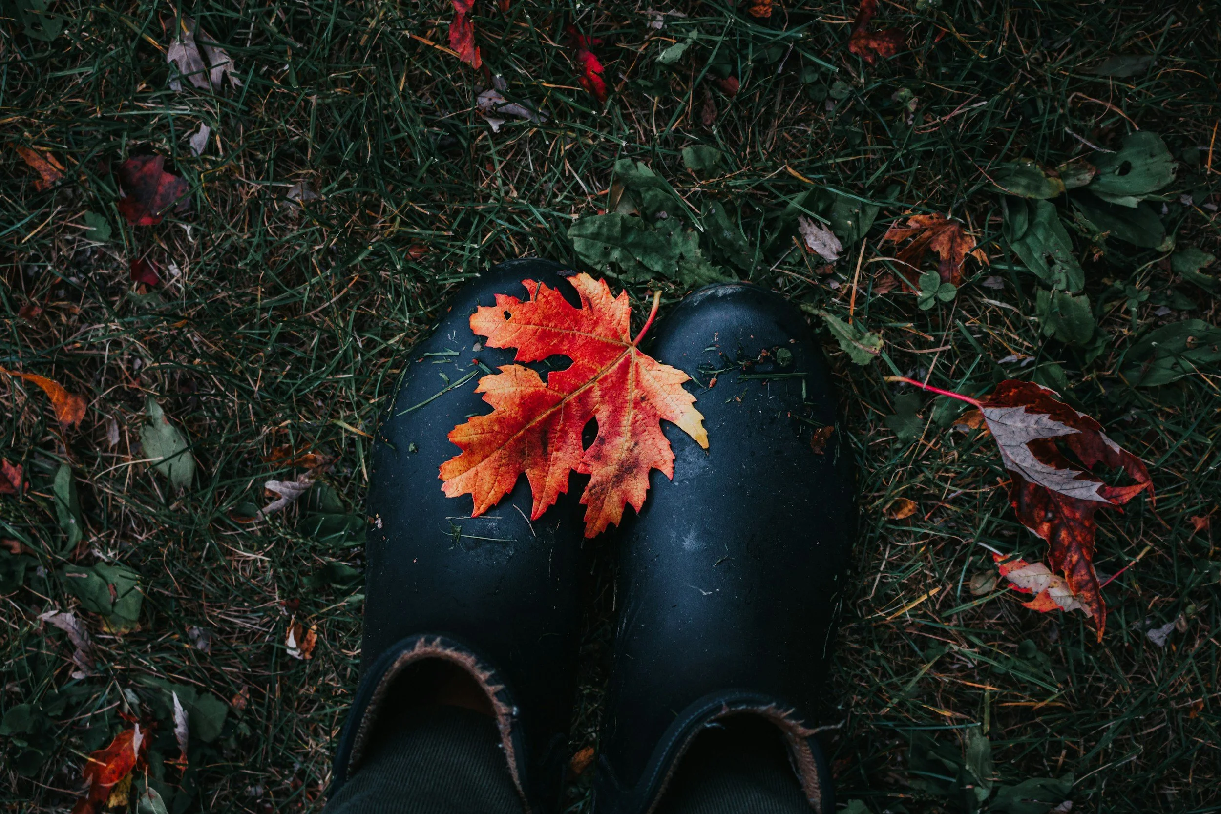Fall Weather, Back-to-School, and the Rise of Seasonal Illness: Can Chiropractic Care Help?
