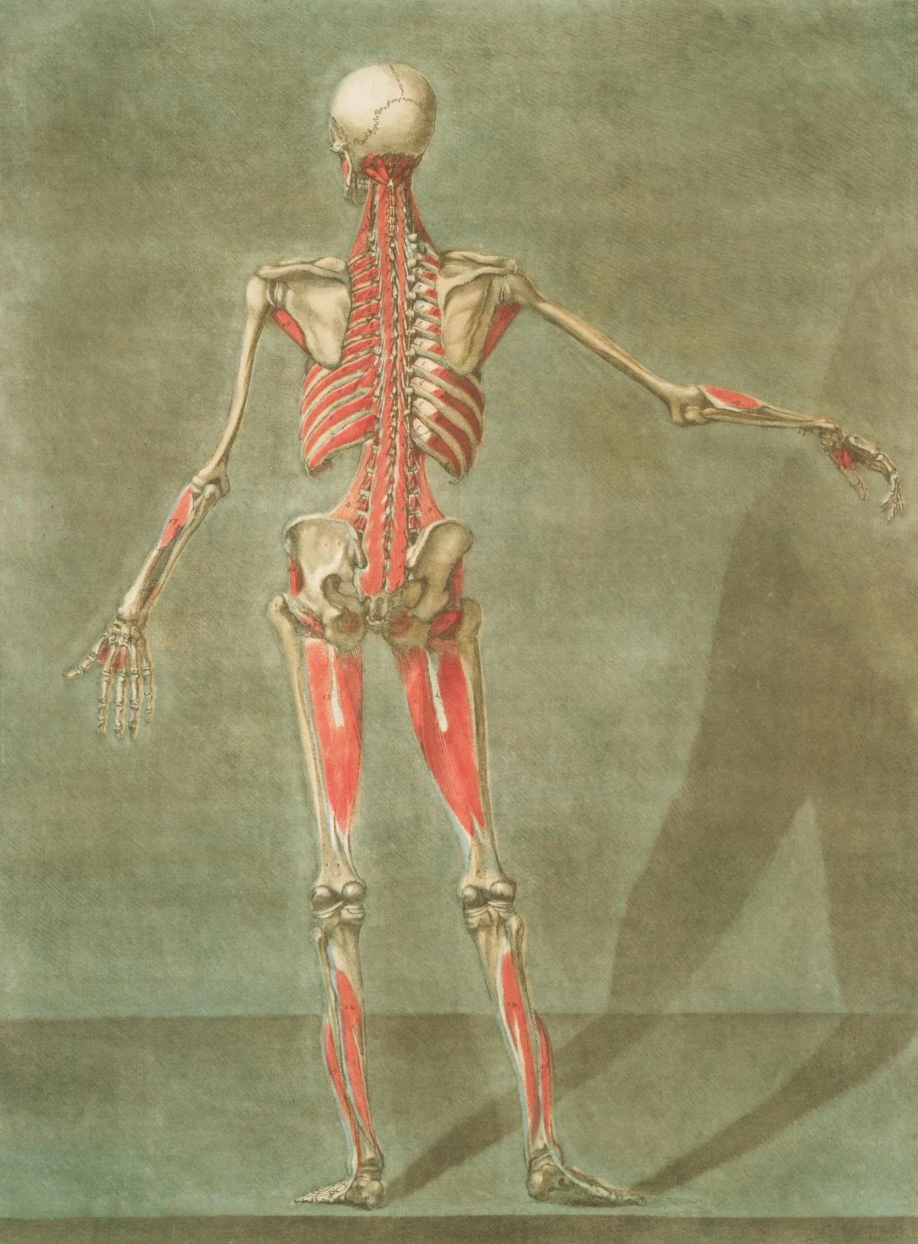Understanding Sciatica Symptoms: What Causes Sciatic Nerve Pain and How to Recognize It