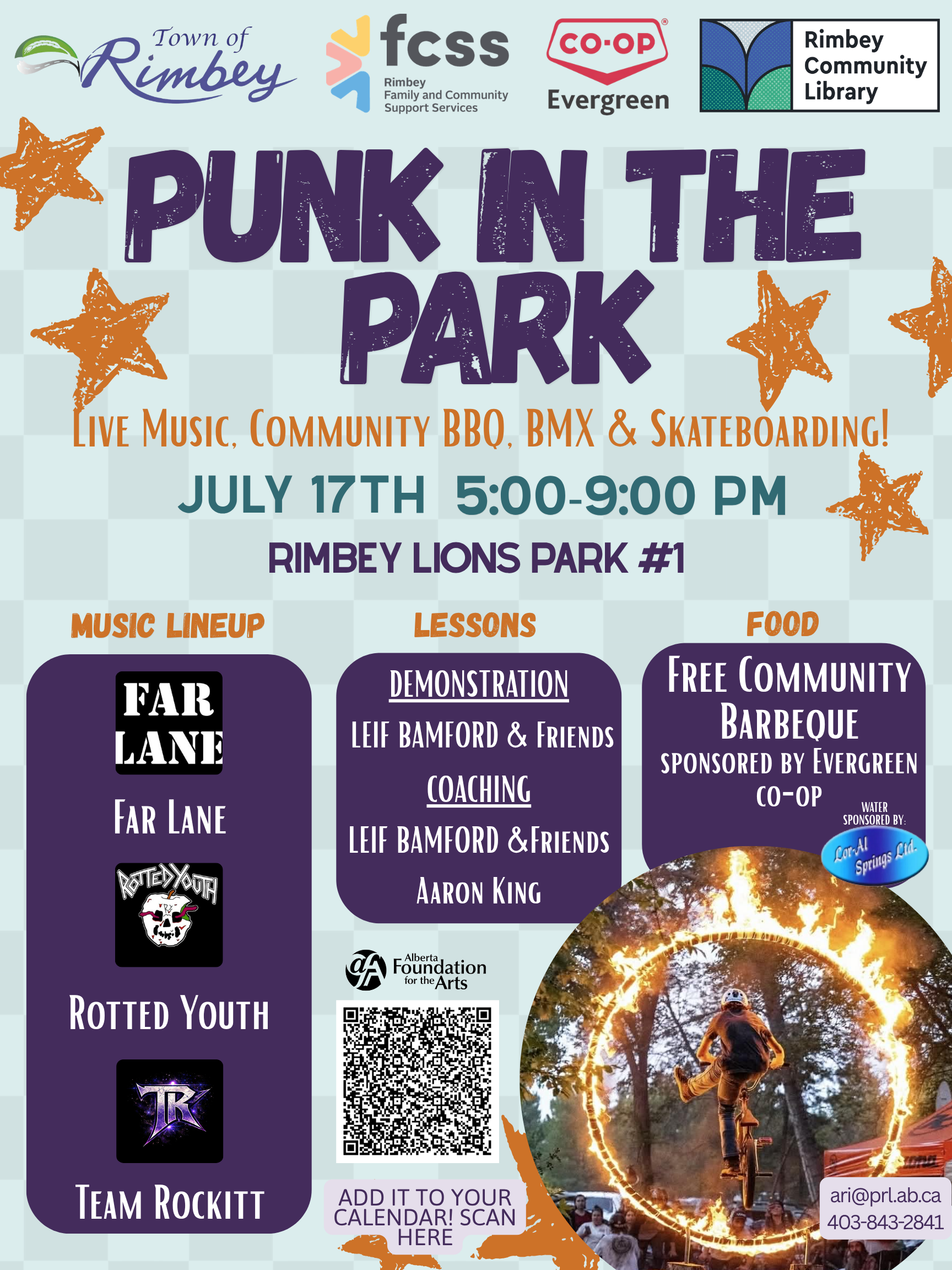 Punk in the Park