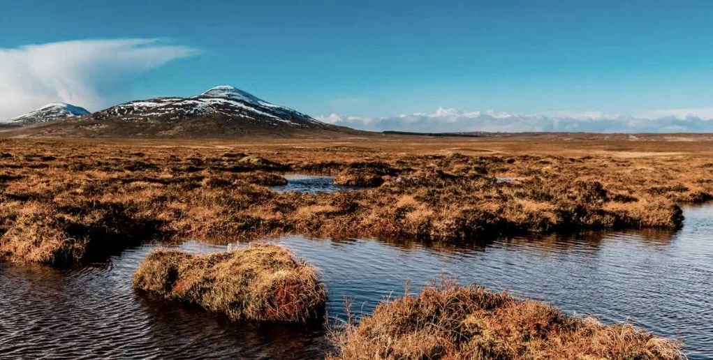 The Smoky Side of Scotch – Understanding Peat and How It Affects Flavor