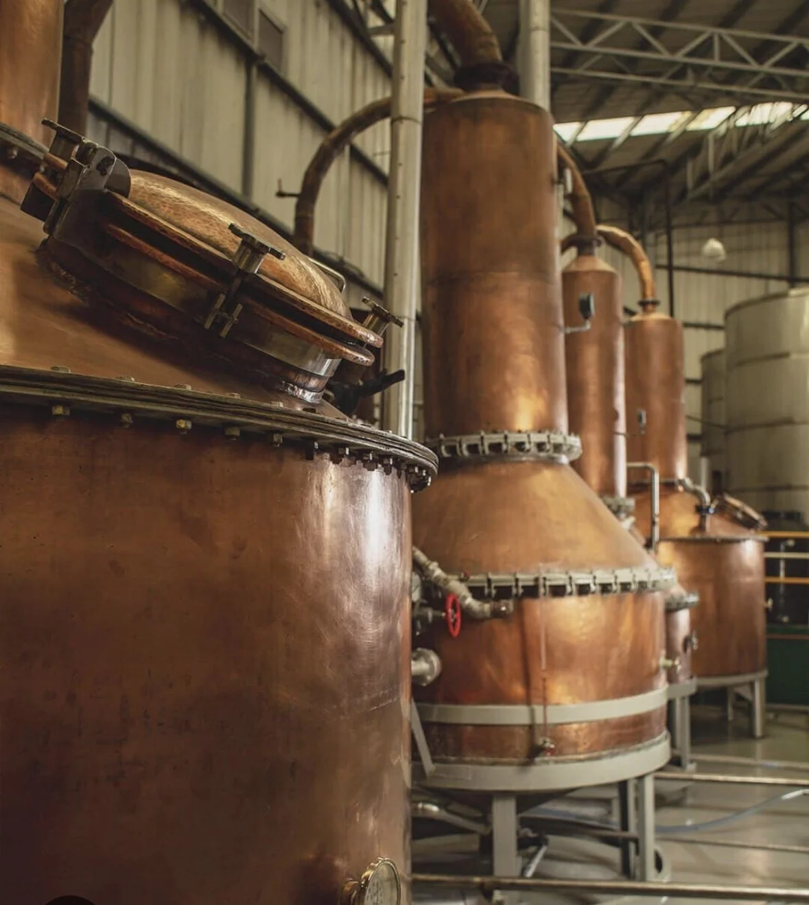 What Makes Añejo Tequila Different from Other Tequilas?