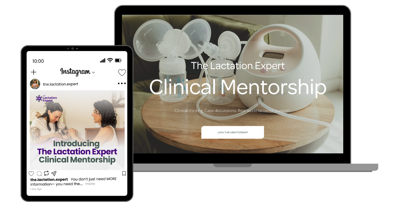 Online lactation mentorship for aspiring IBCLC and perinatal professionals