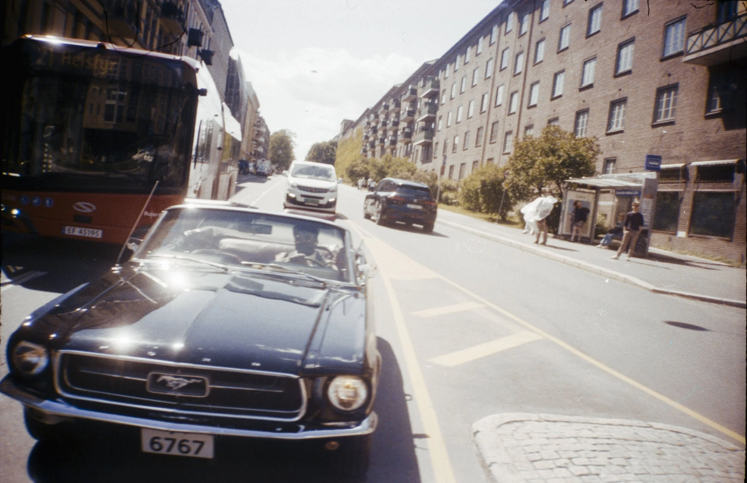 "Mustang", 2024