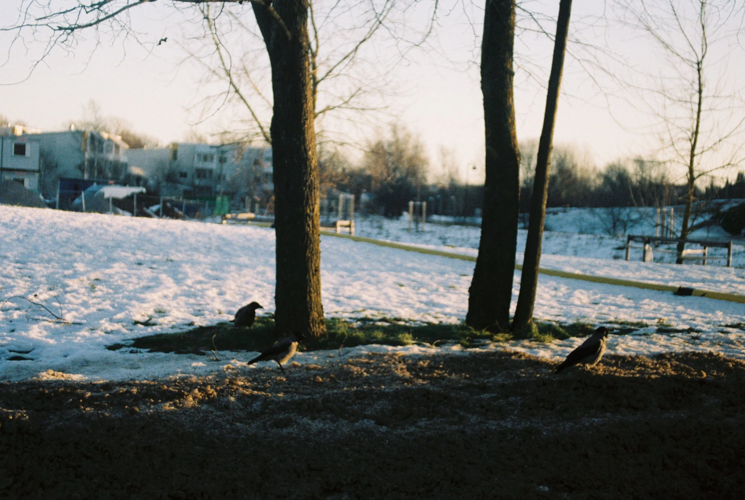 R1-09880-033A.JPG.jpg