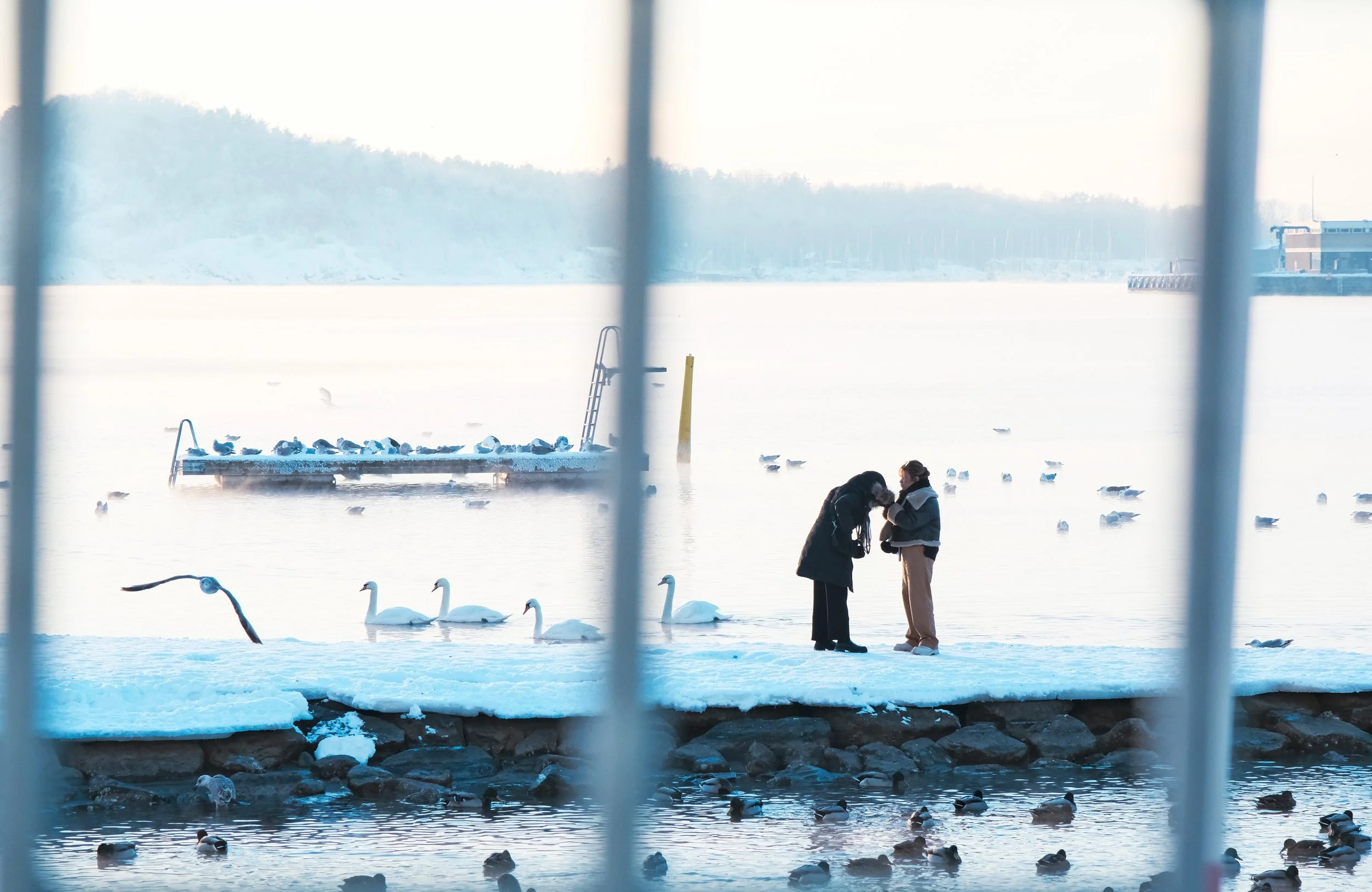 "Møteplass", 2024