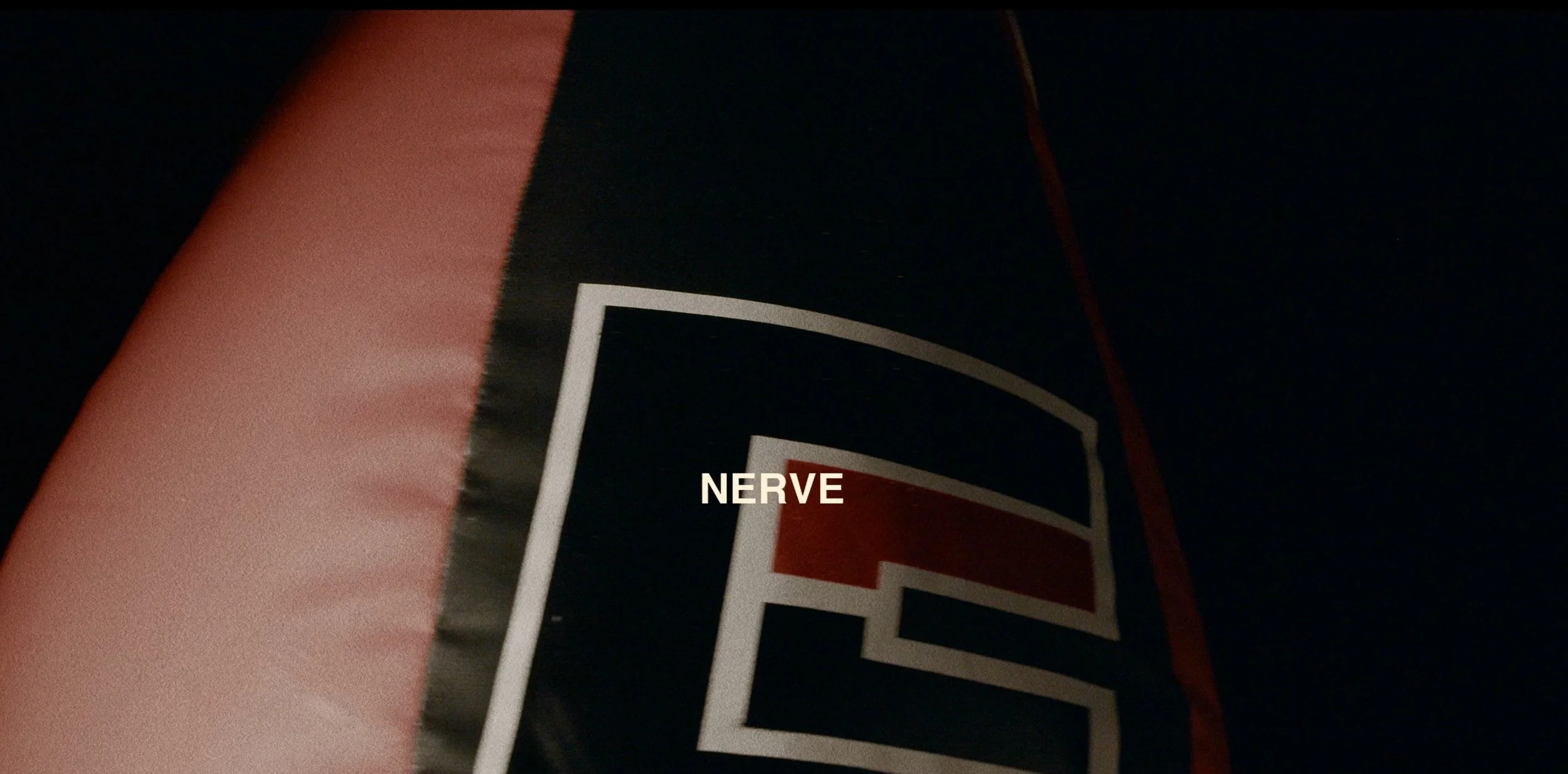 Nerve