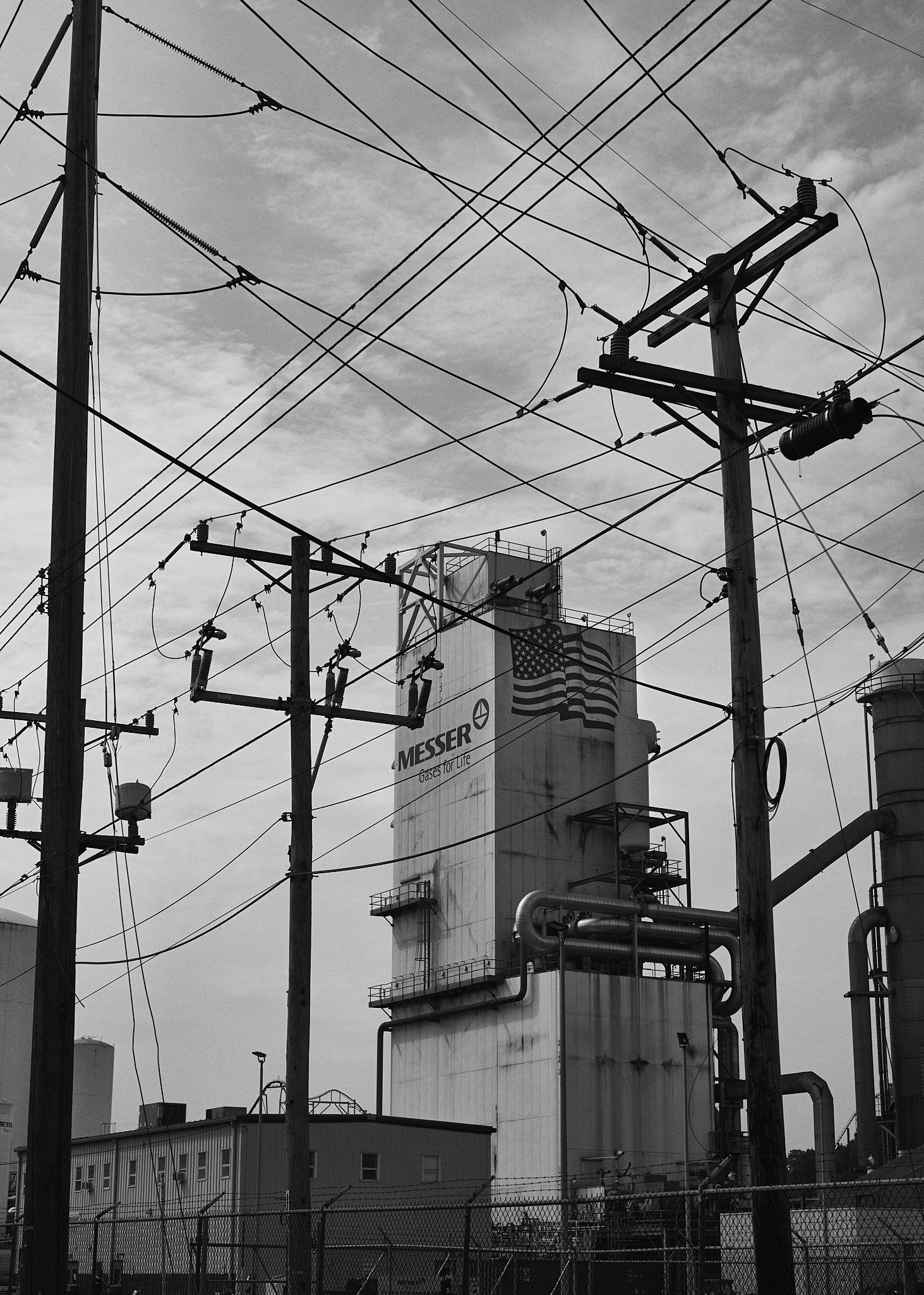 L1000386.jpg