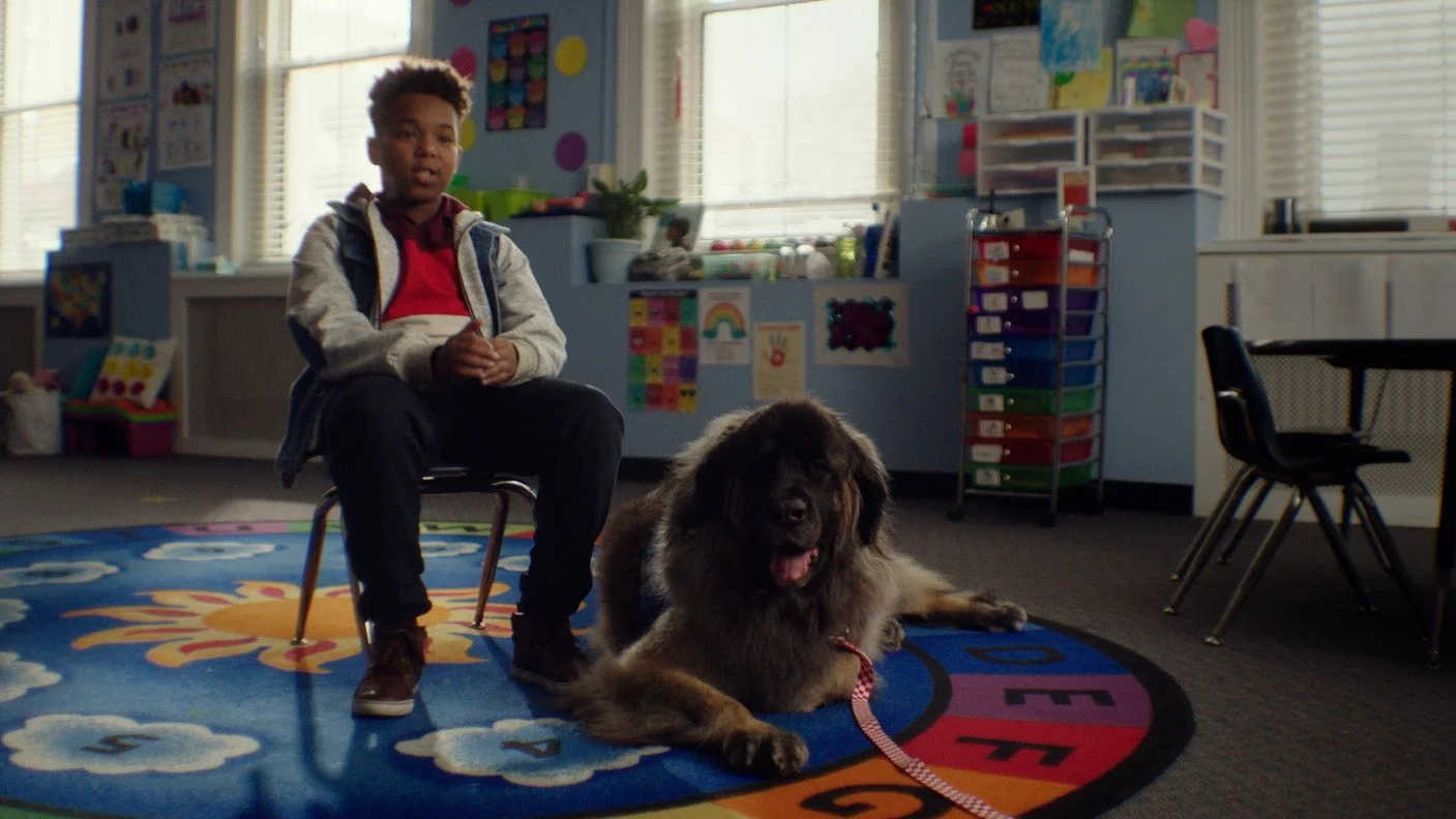 purina cares "duo dogs"