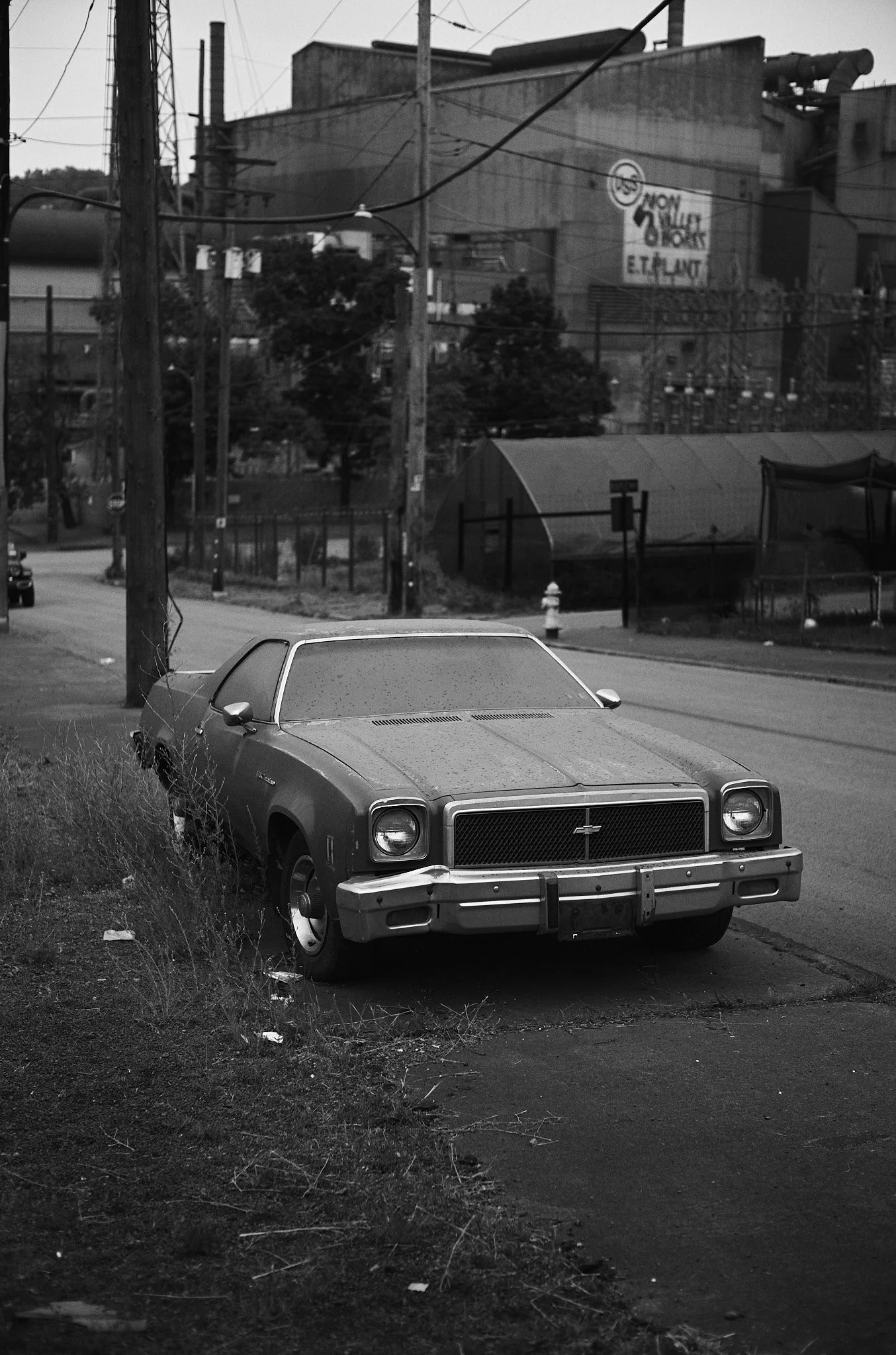 L1000427.jpg