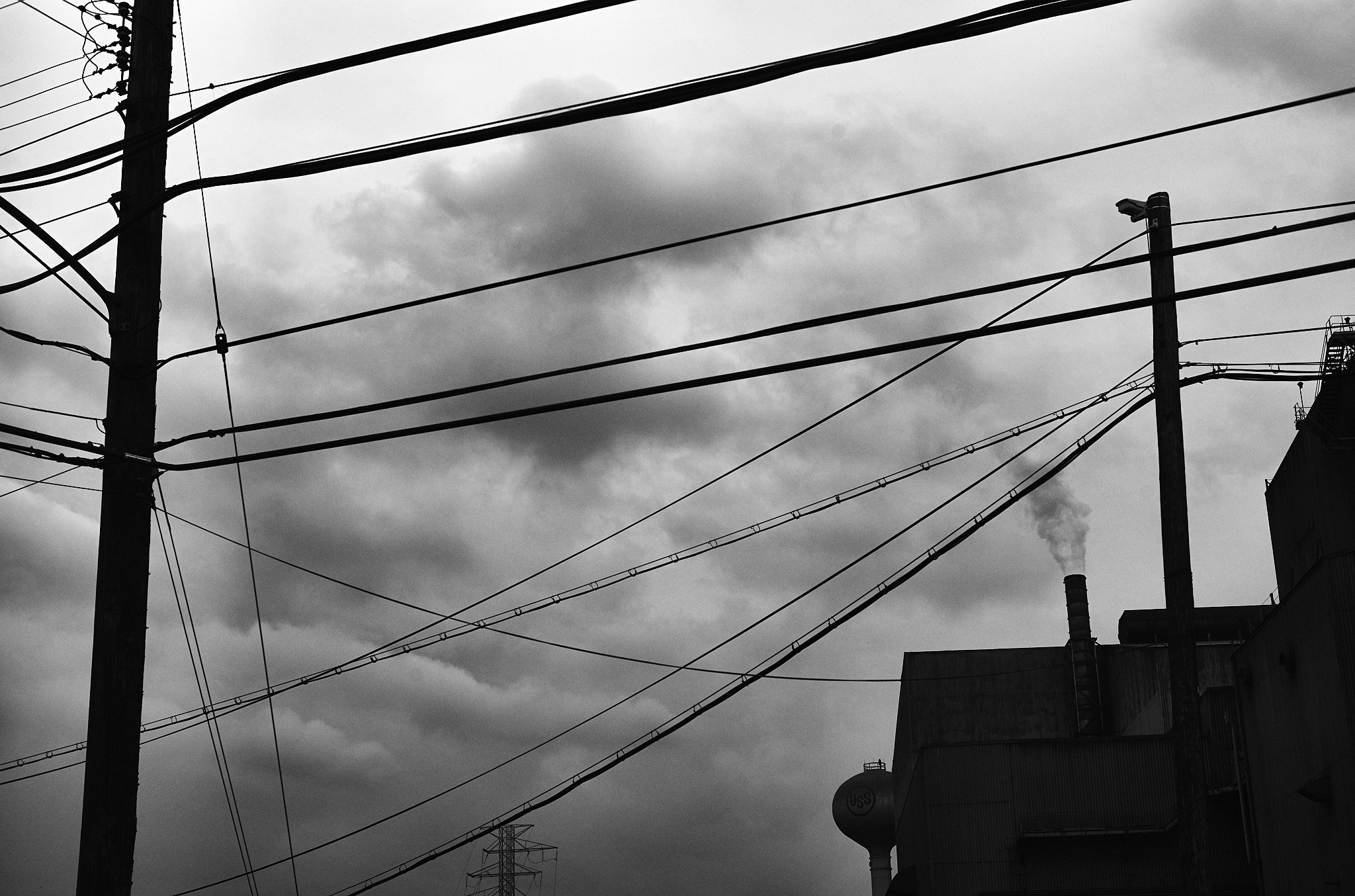 L1000463.jpg