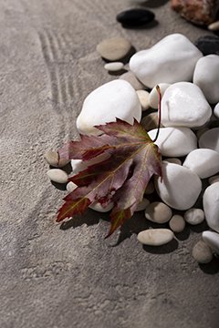 close-up-leaf-floating-water.jpg