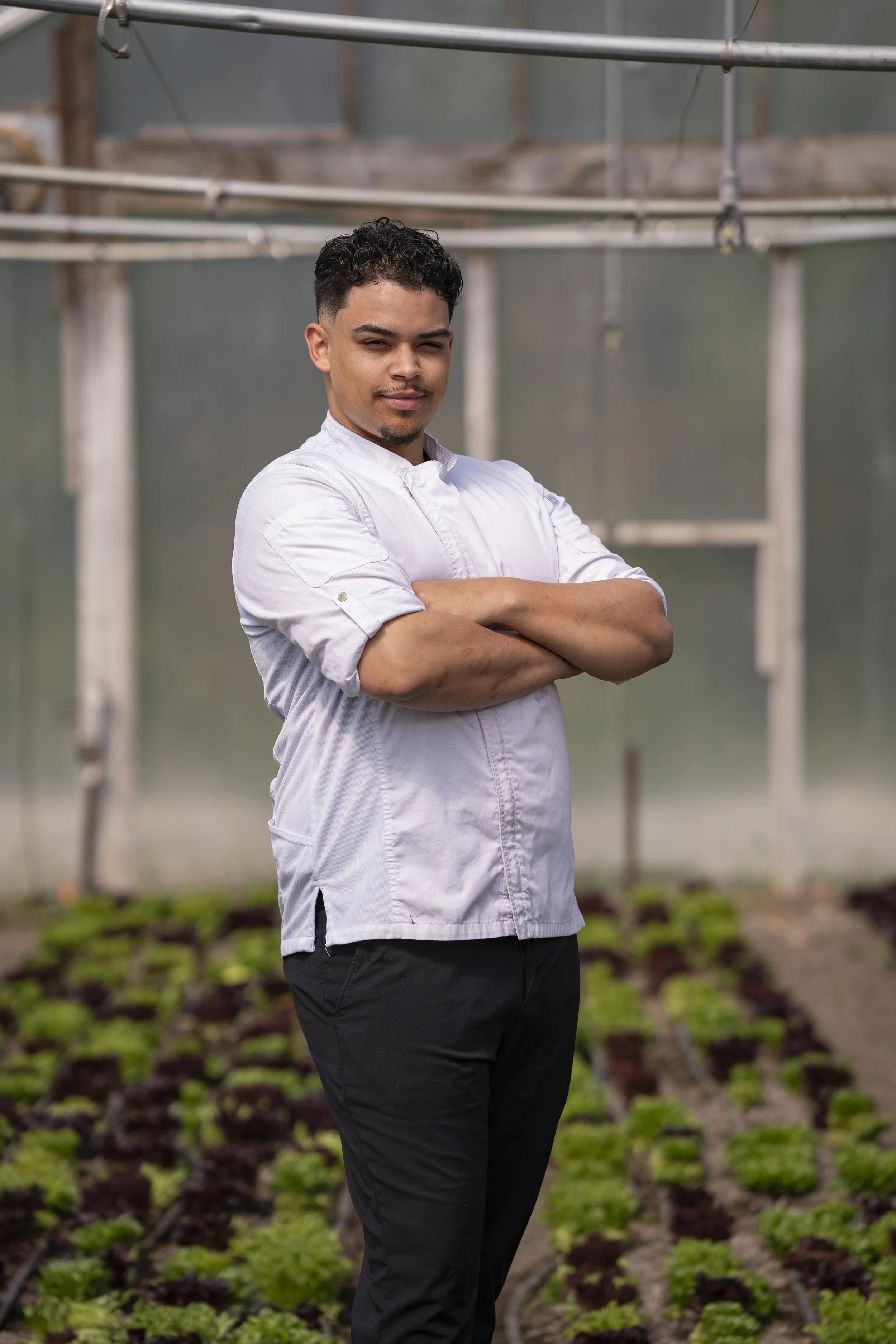 Chef in a greenhouse