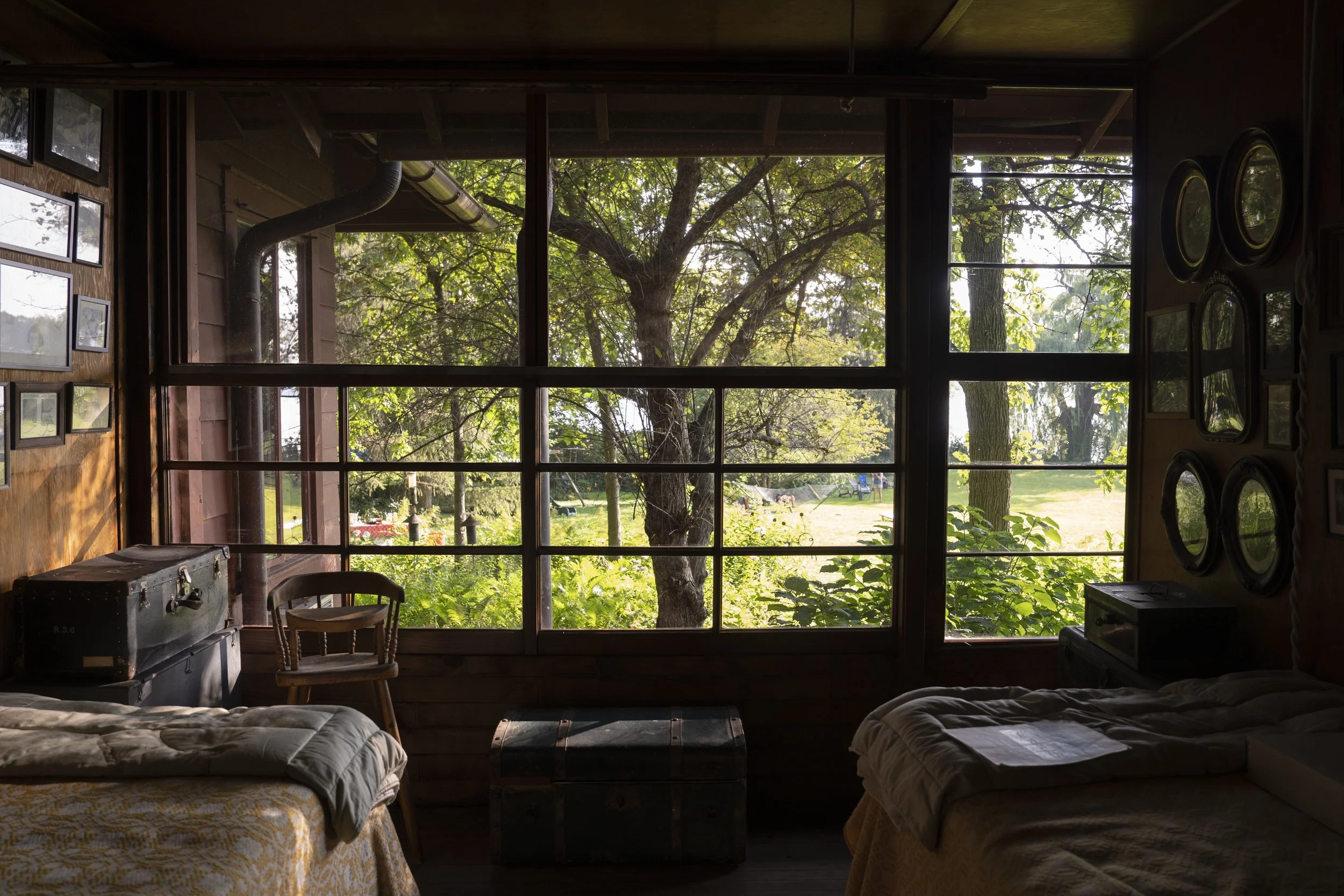 View from inside a rustic wooden cabin looking out the large window at a lush garden with trees and sunlight.