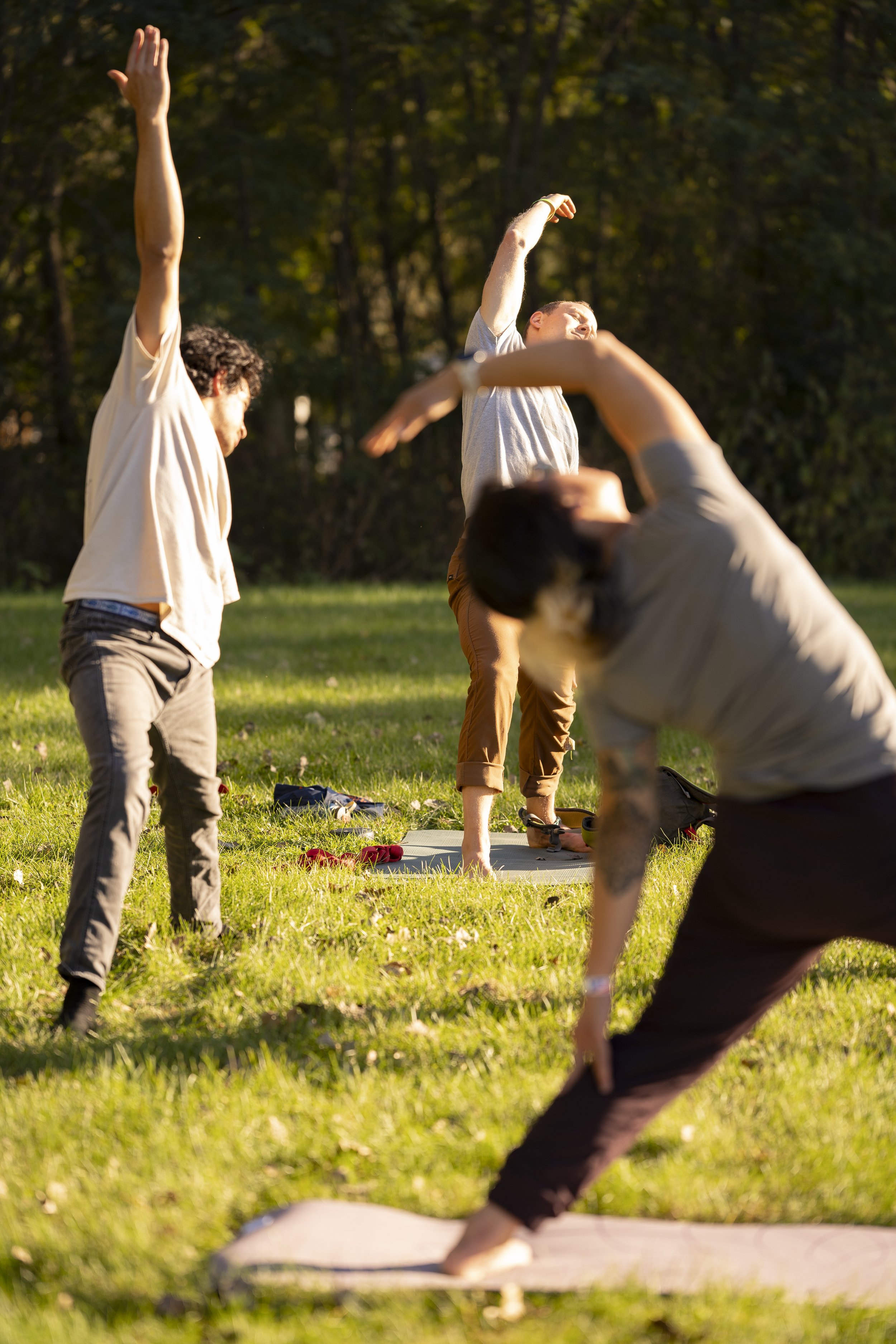 A group of people practicing yoga on a grassy outdoor field during sunset, with trees in the background.