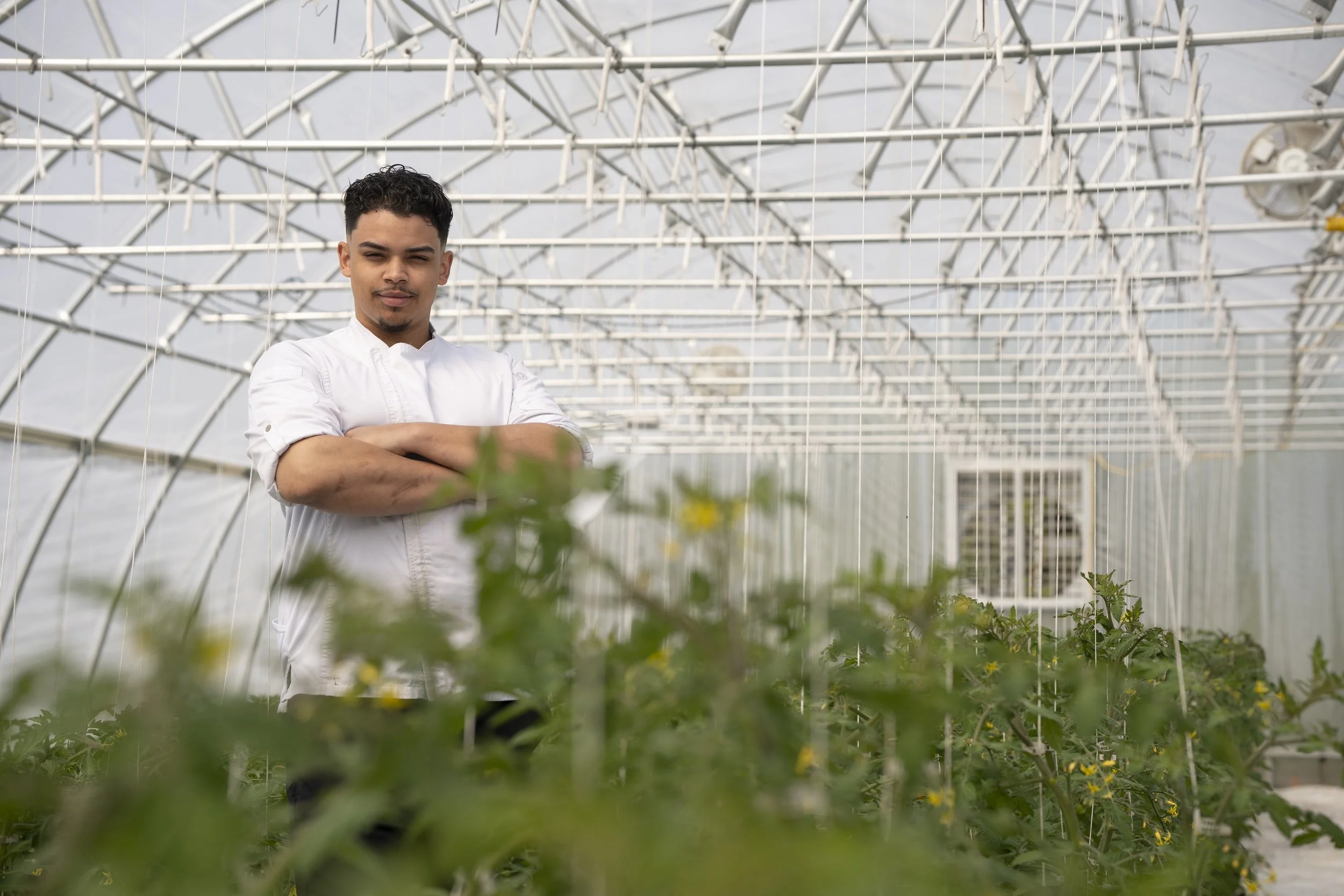 Chef in a greenhouse