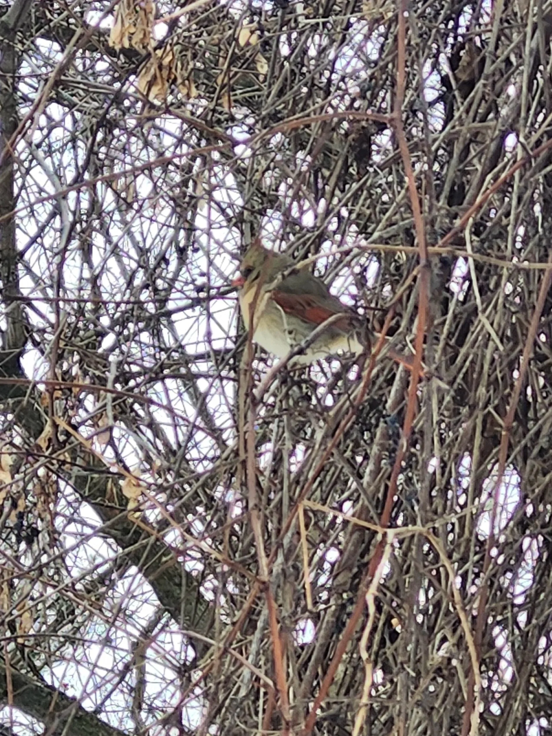 Stepping Into 2026 with Intention