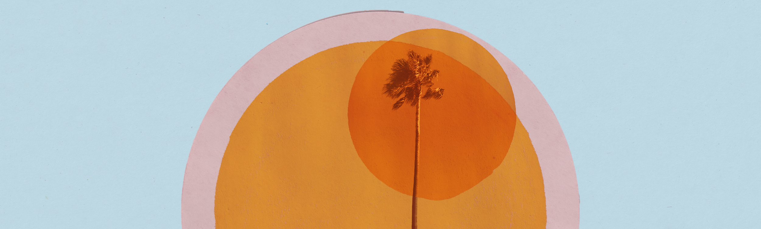 Wide Apple Books interface banner: coastal geometry study by Kate Wallace.