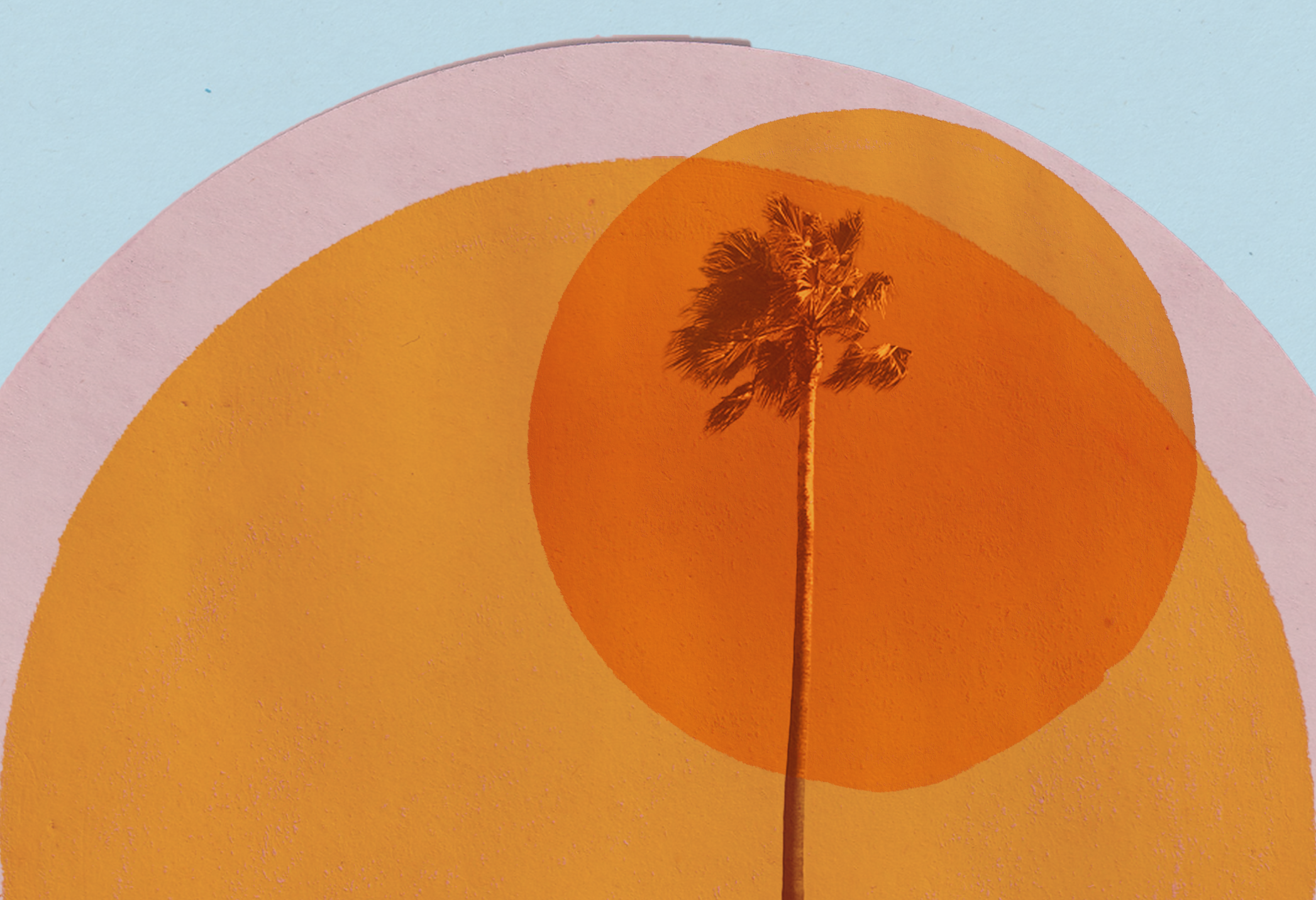 UI button asset for Apple Books: textured palm motif by Kate Wallace.