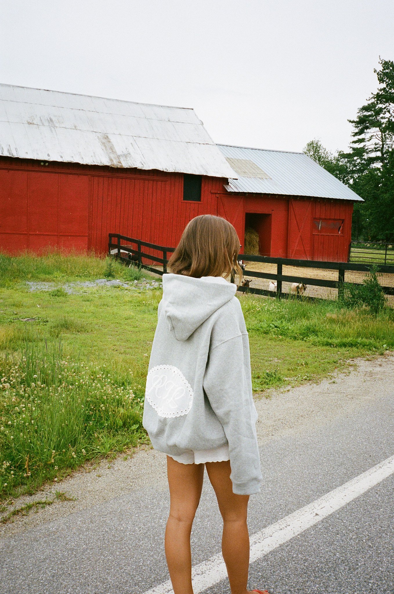 Gray Heritage Polo Hoodie