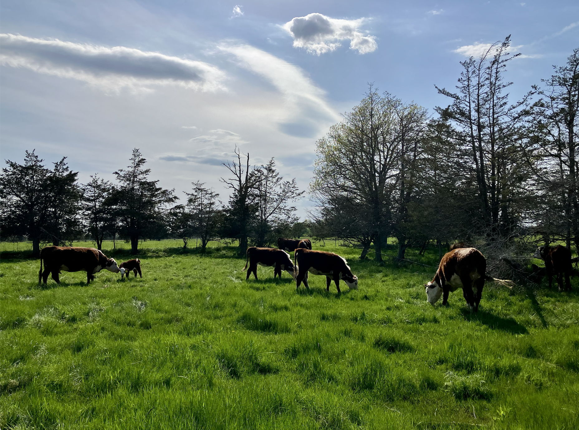 Screen Shot 2024-01-31 at 7.29.10 PM.png