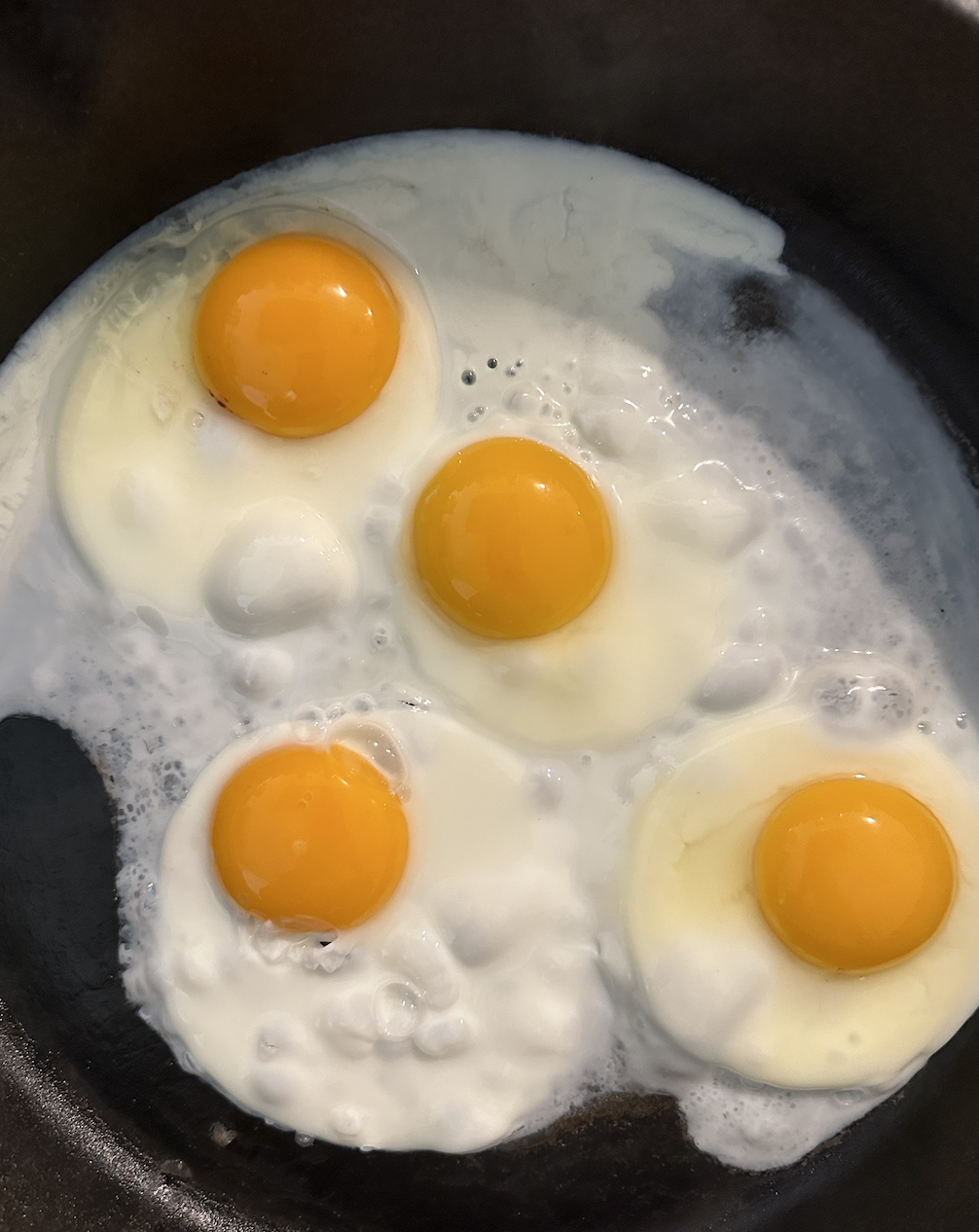 Screen Shot 2024-04-15 at 8.58.05 AM.png