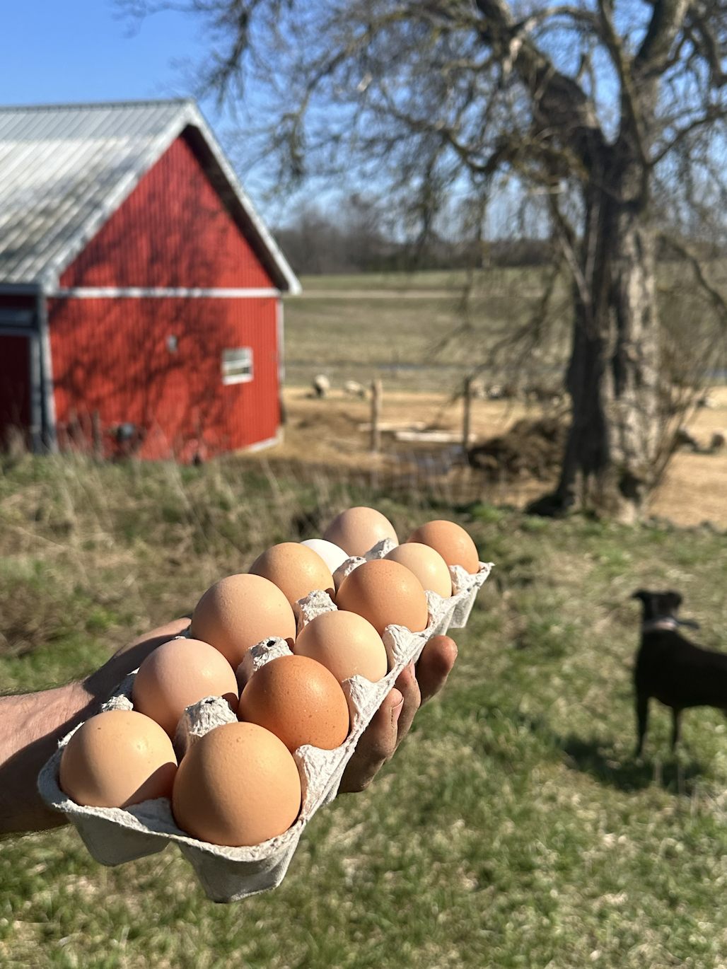 Screen Shot 2024-04-14 at 8.13.29 PM.png