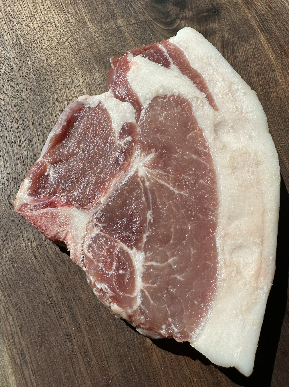 Screen Shot 2024-04-15 at 11.12.14 AM.png