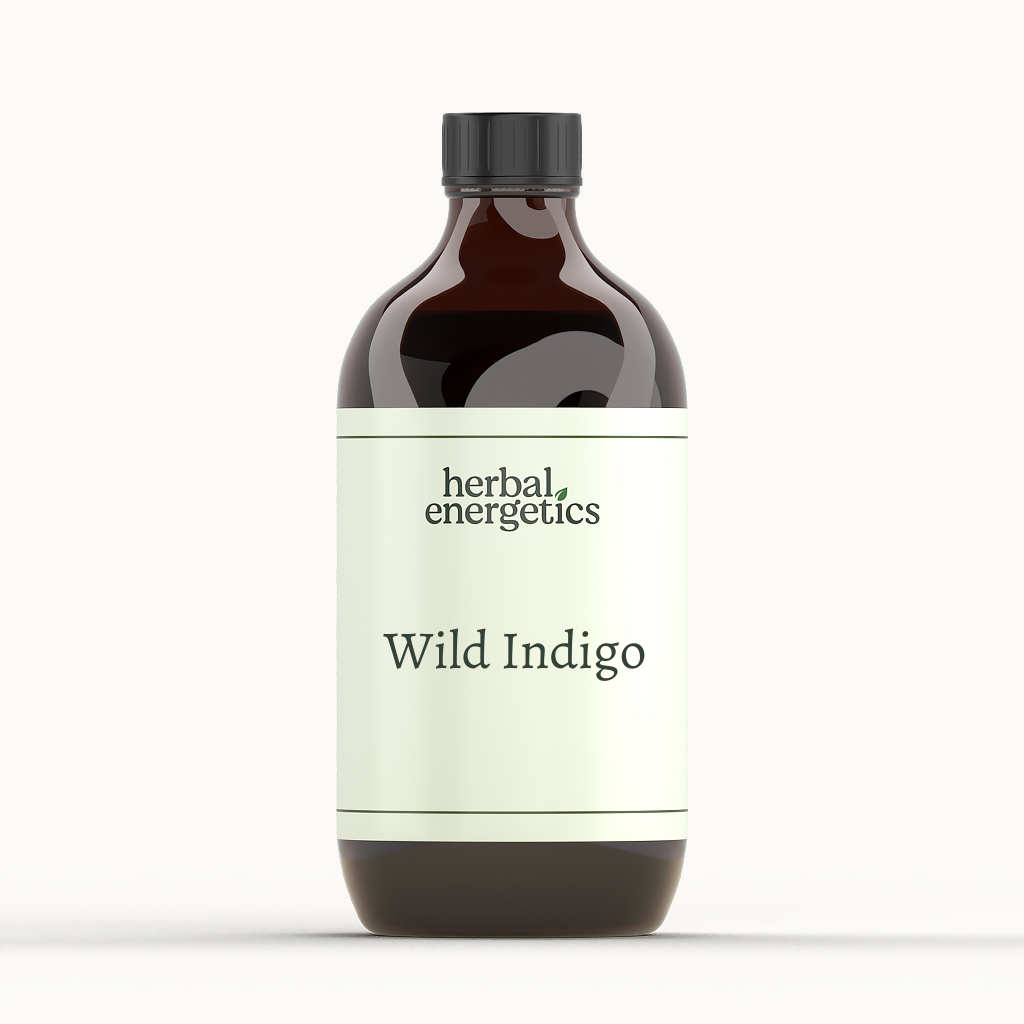 Wild Indigo.png