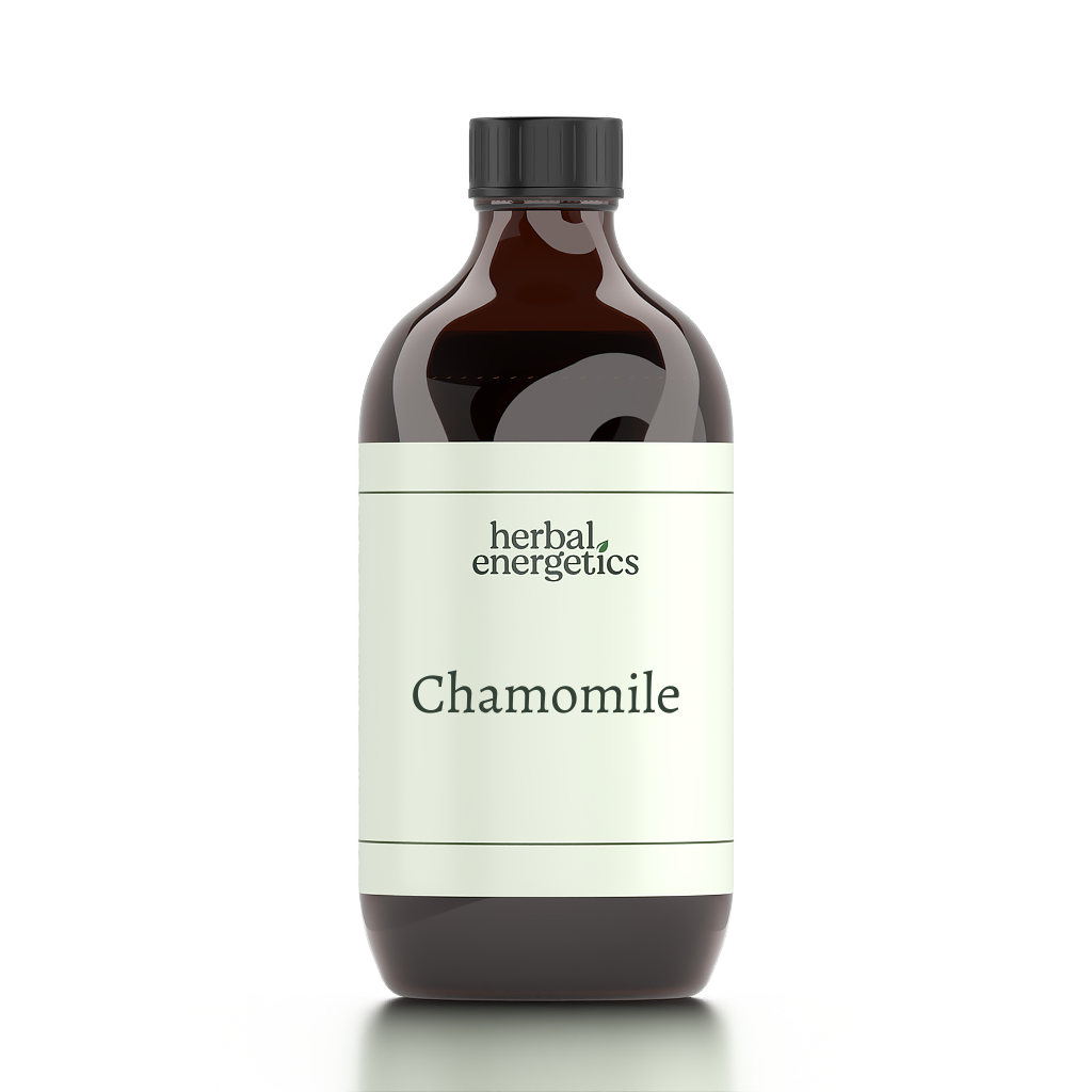 Chamomile (Matricaria recutita)
