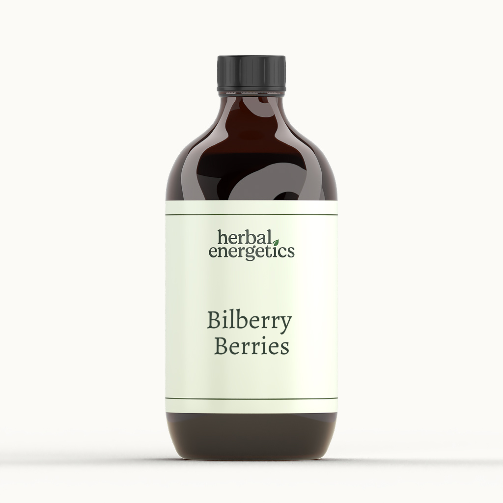 Bilberry Berries (Vaccinium spp.)