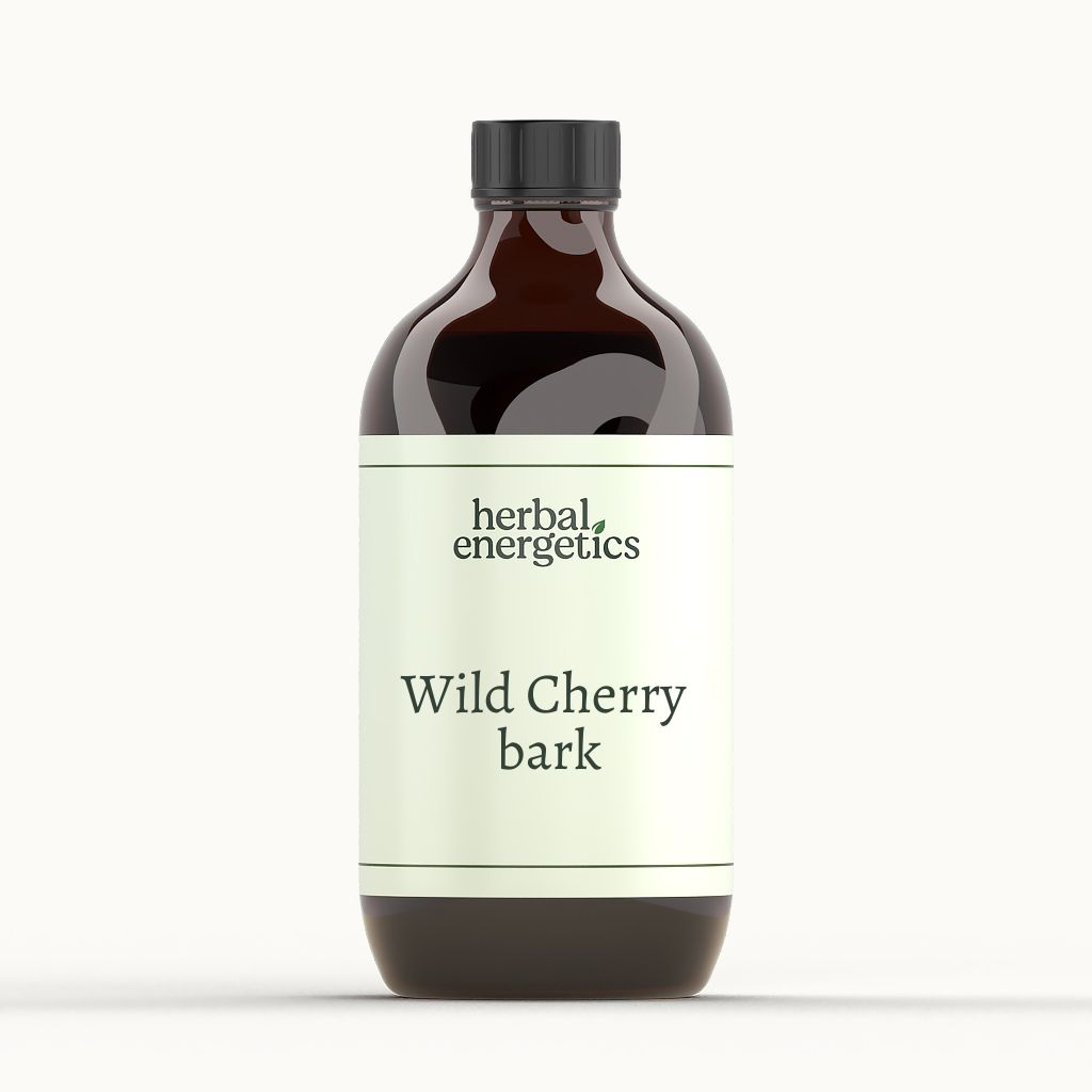Wild Cherry bark (Prunus serotina)