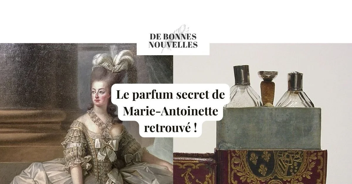Le parfum secret de Marie-Antoinette: une fragrance disparue retrouvée!