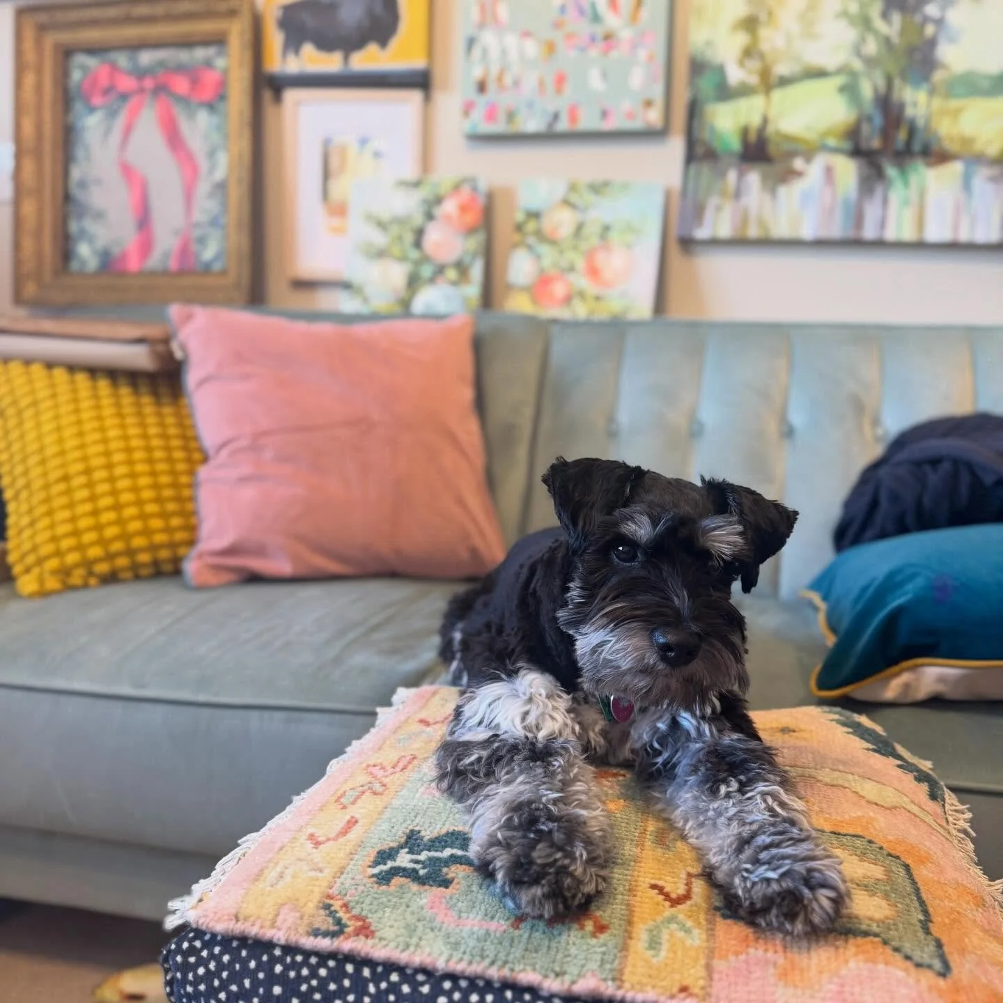 Day 8 of 10 in 10 of 2025.  Simply had to devote a whole post to my faithful studio pups Max and Roman.