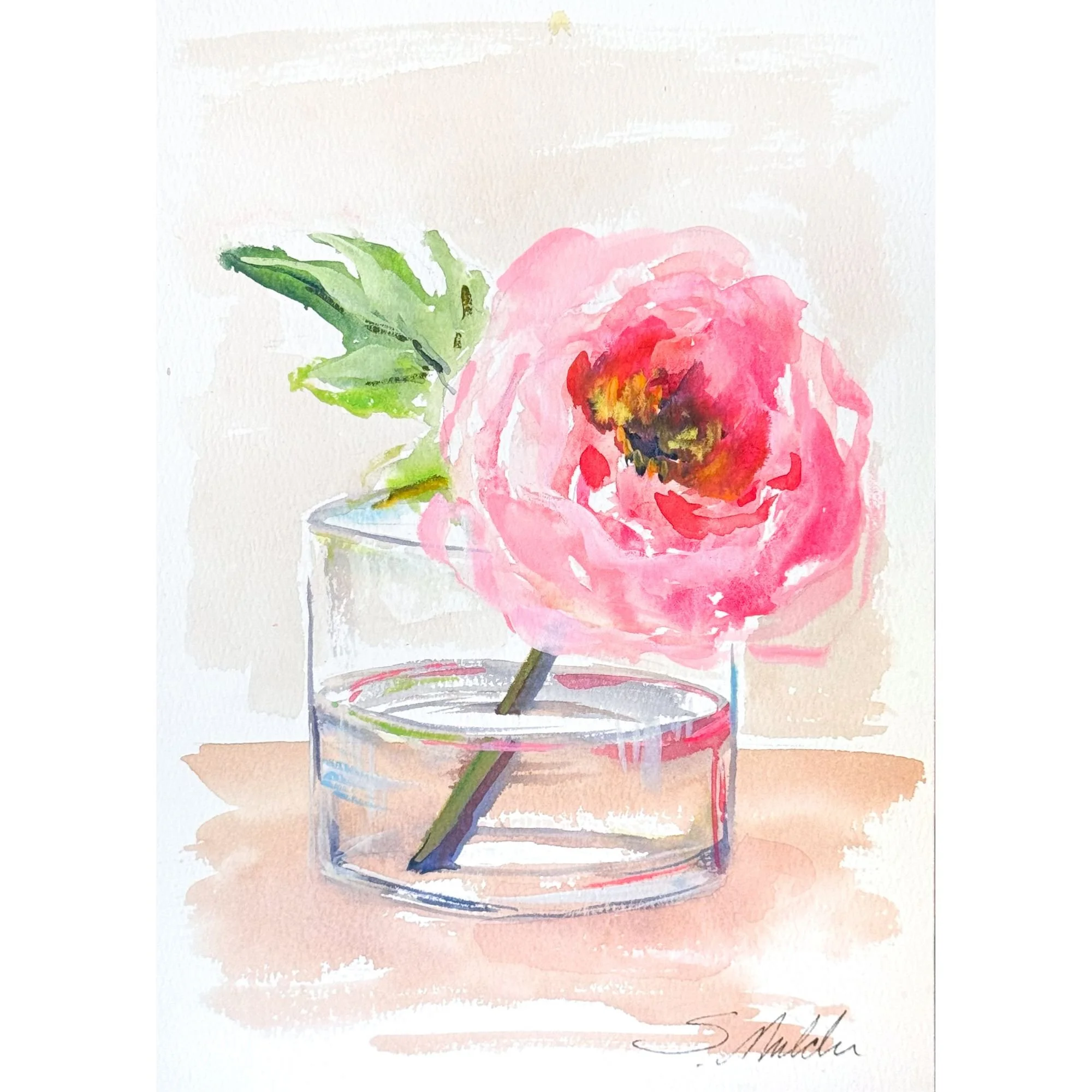 Peony Bloom