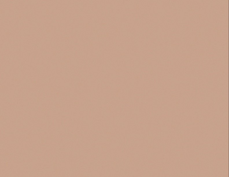 Rose.jpg