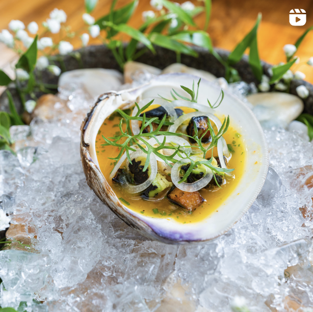 Captura de pantalla 2024-02-08 a la(s) 10.24.42 p.m..png