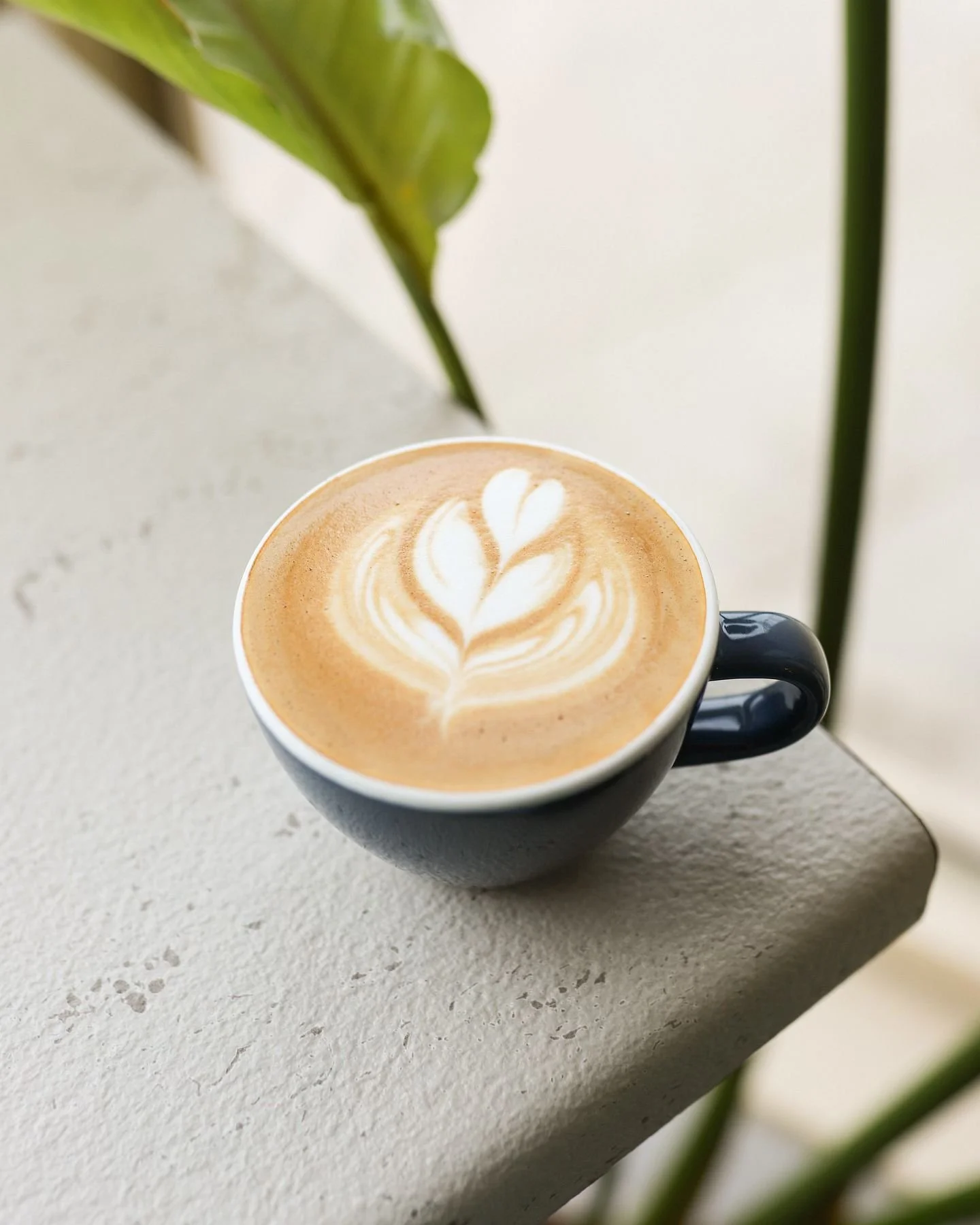 i&rsquo;m 100% in my ✨cortado era✨ right now