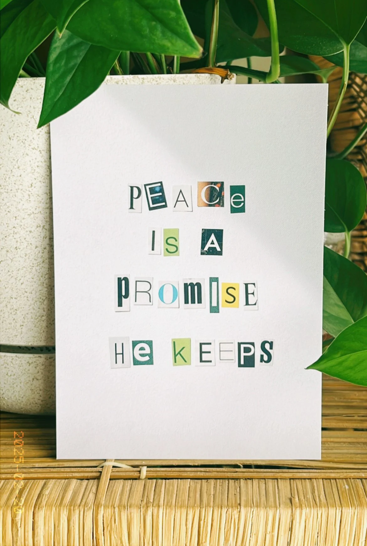 3F26F0F6-F69C-44D2-9677-9344F887D087.png