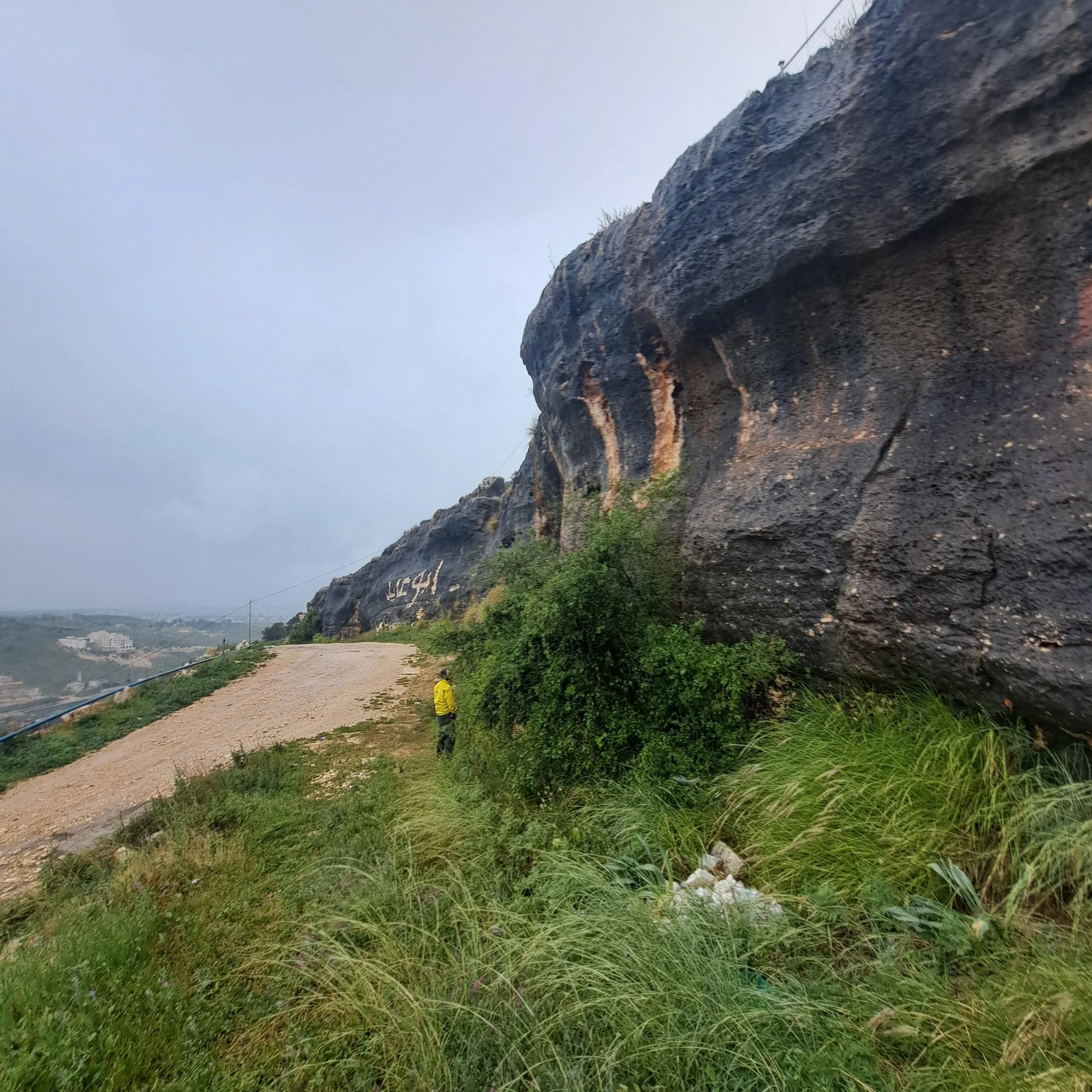 Tulkarm