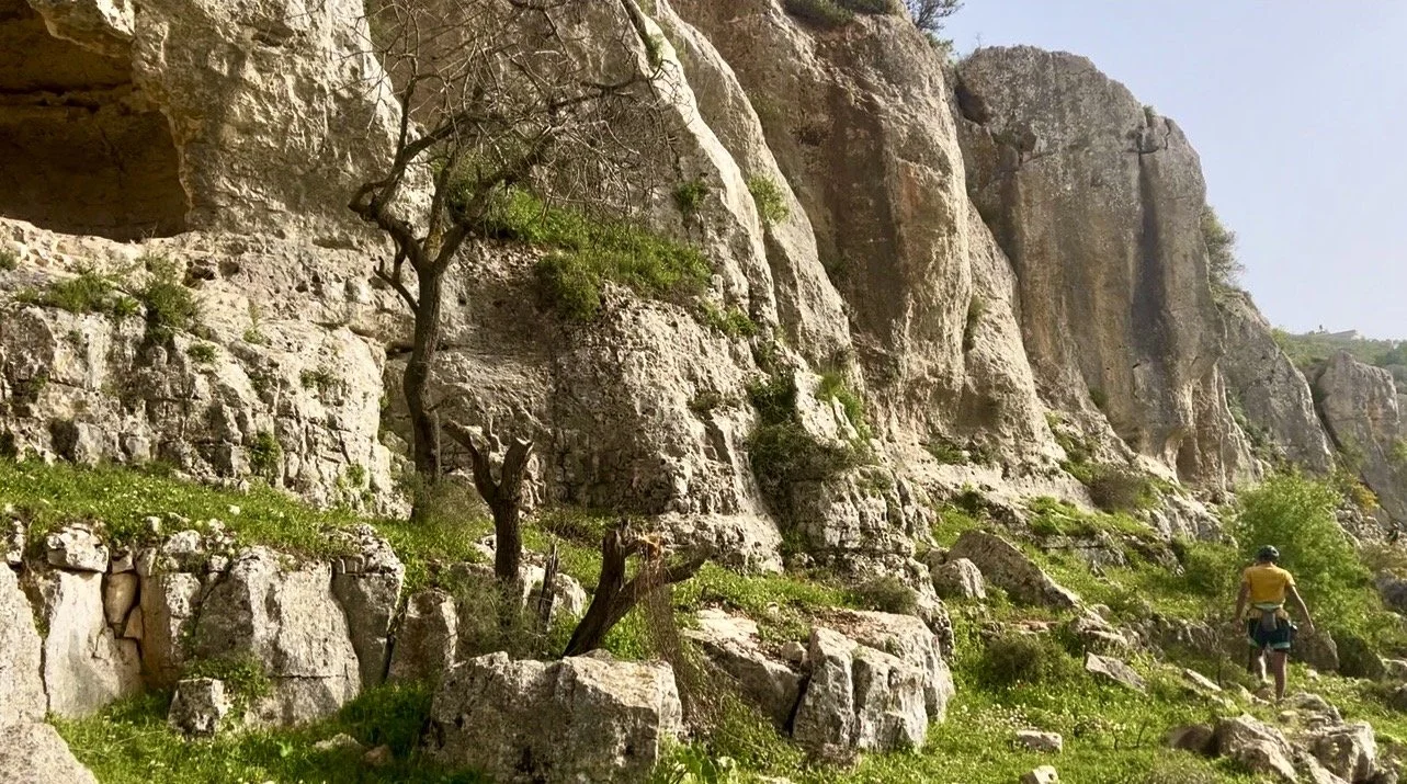 Silwad