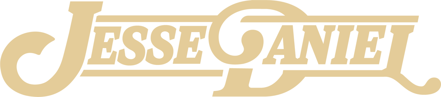 Jesse Daniel Music