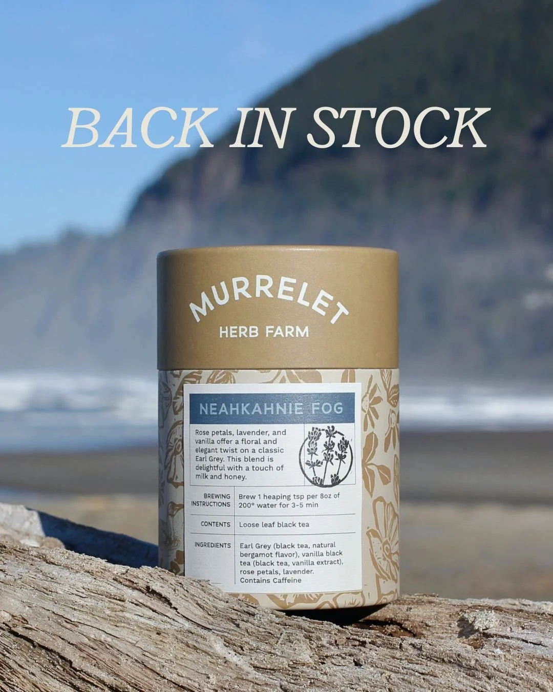 Neahkahnie Fog is back, and so am I! 

I took a brief hiatus to work on moving and helping my partner wrap apple harvest (shout out to the best cider in town @carolawines !!)

I am thrilled to finally be able to restock Neahkahnie Fog after a key tea