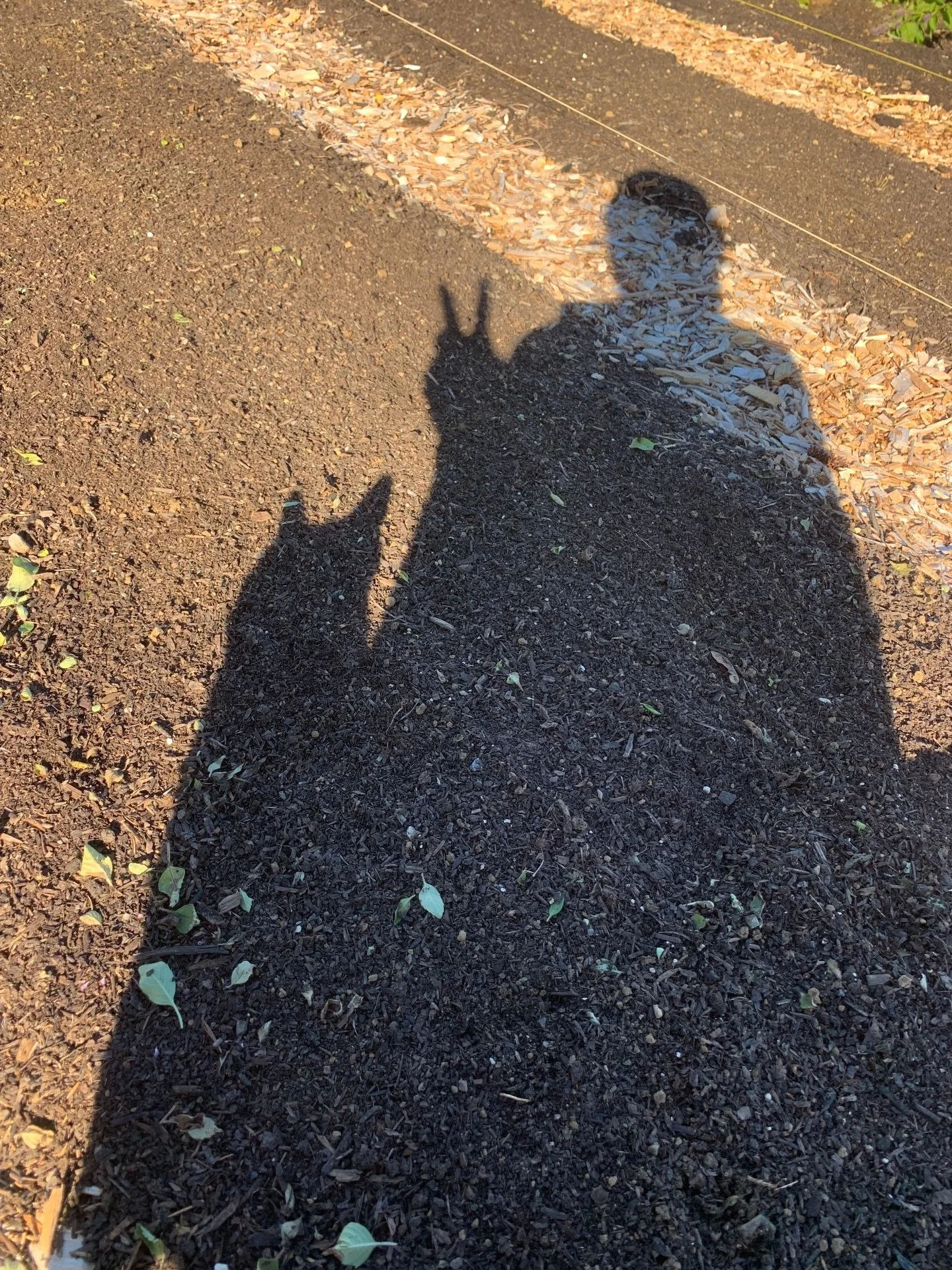 Peace out 2025! You kicked my ass! But honestly, I am coming out of all of it a stronger, wiser version of me. I&rsquo;ve more direction and clarity about how I want to run my business and farm. For that I truly am grateful. 

When life hands you lem