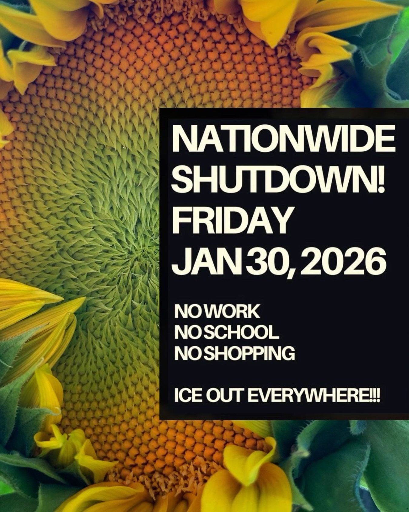 We are taking online orders down on Friday, January 30th to participate in the nationwide general strike.

We drink our tea hot because FUCK ICE. 

For more info:
@thegeneralstrikeus