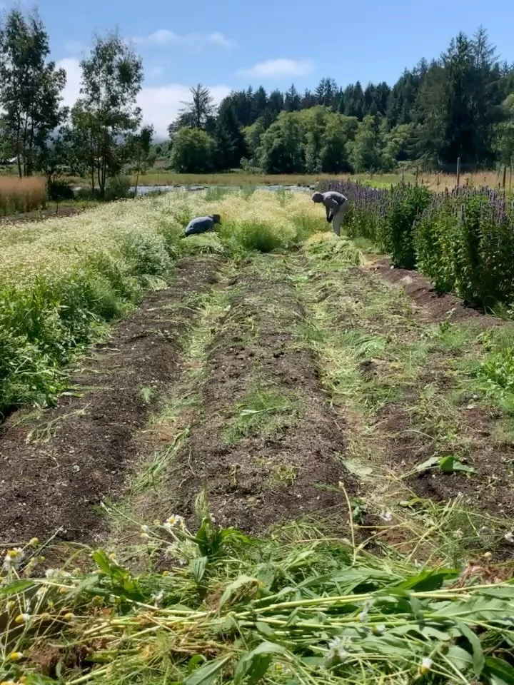 What would we do without friendship?!? 

This is a shout out to all of the people who have helped me at the farm the last two years. I don&rsquo;t have photos and videos of all of you because I often forget. I feel so incredibly fortunate to have so 