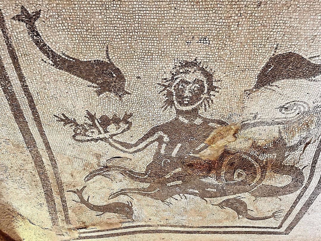 #scavidipompei #ercolano #scaviarcheologici #pompeiitaly