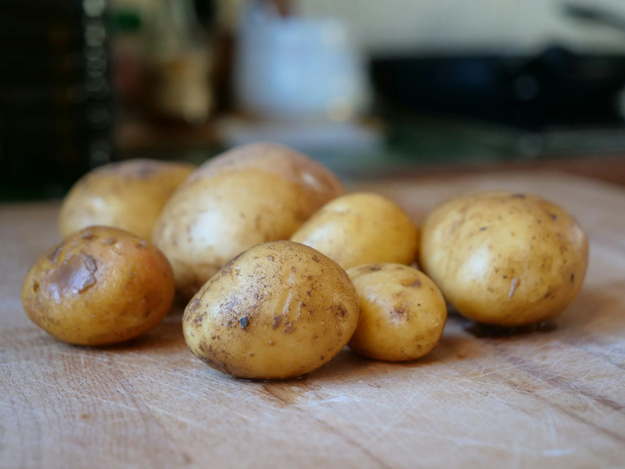 Congregational Meeting/Potato Bar